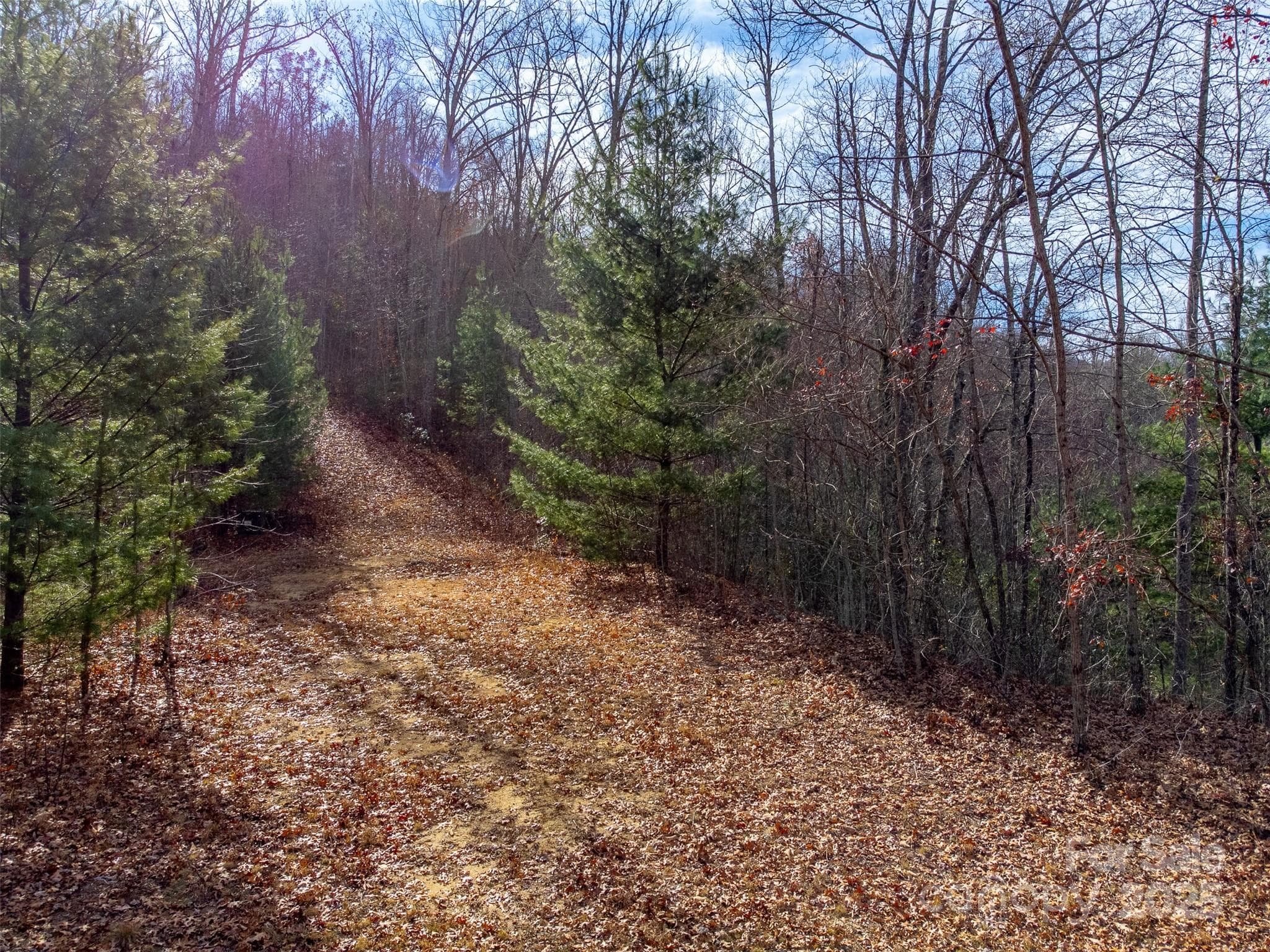 Lot at Sylva, photo 43 of 46