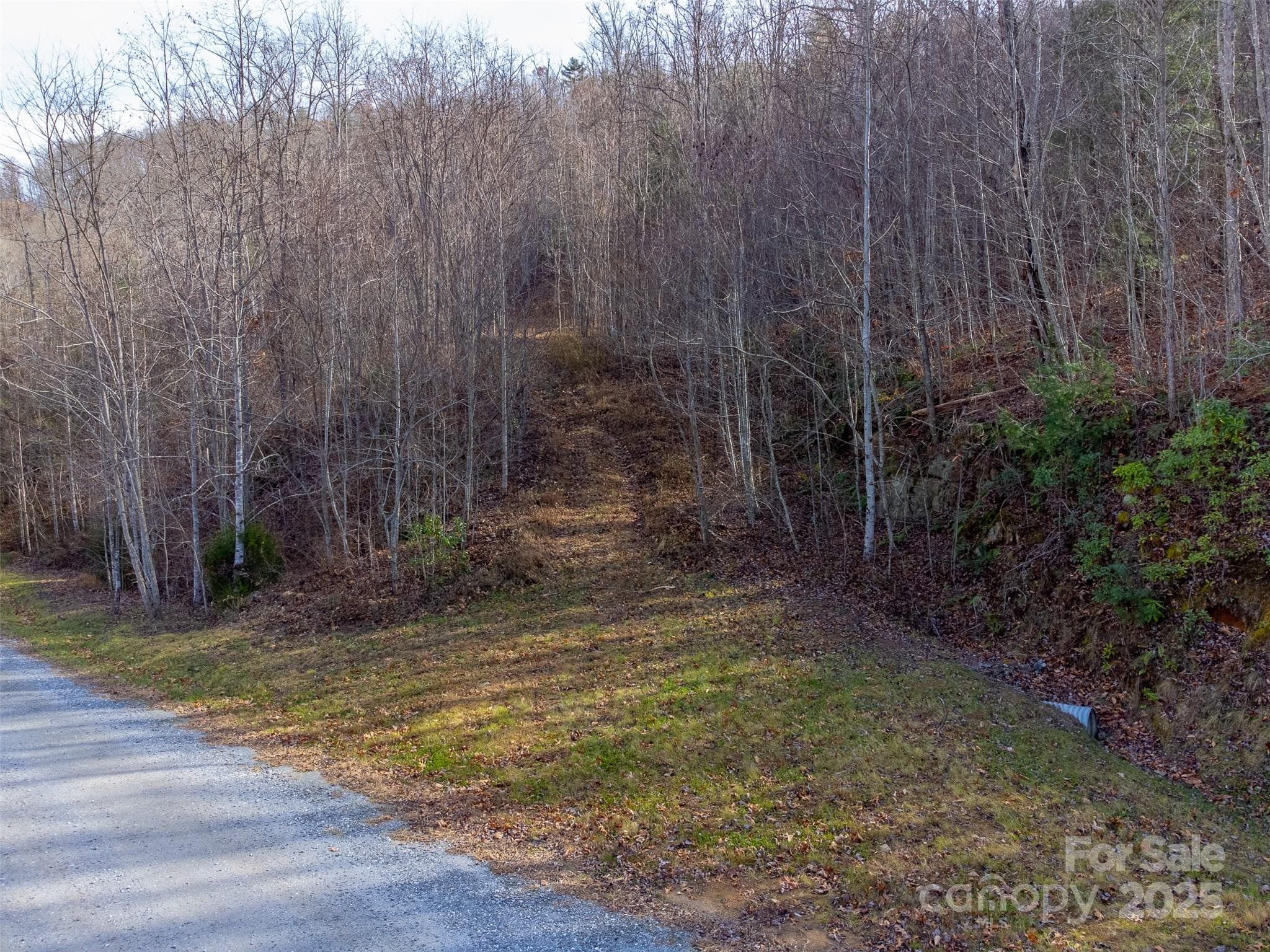 Lot at Sylva, photo 46 of 46