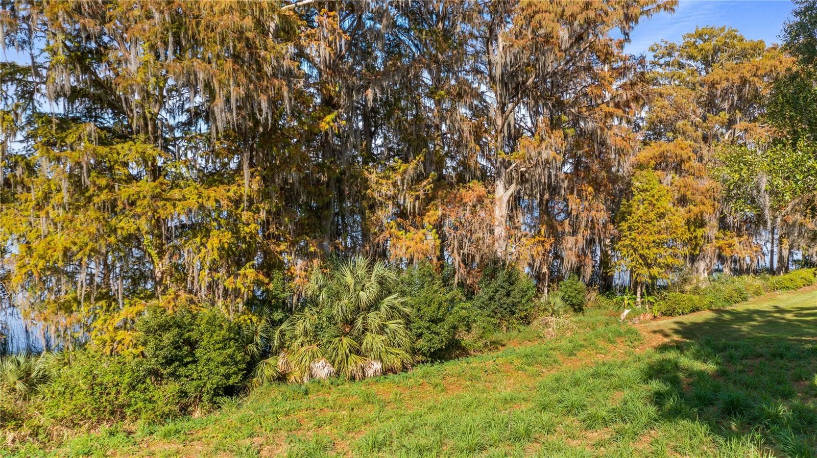 Land at LAKE SWATARA DR, EUSTIS, photo 30 of 41