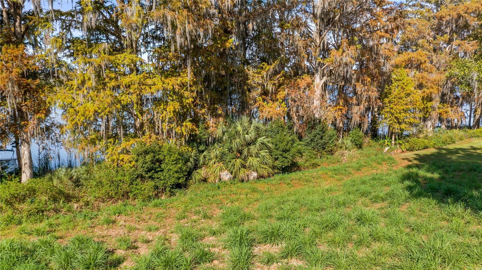 Land at LAKE SWATARA DR, EUSTIS, photo 31 of 41
