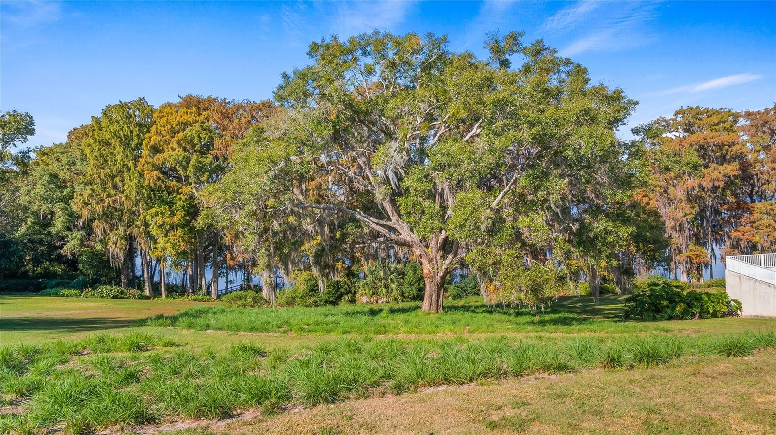 Land at LAKE SWATARA DR, EUSTIS, photo 37 of 41