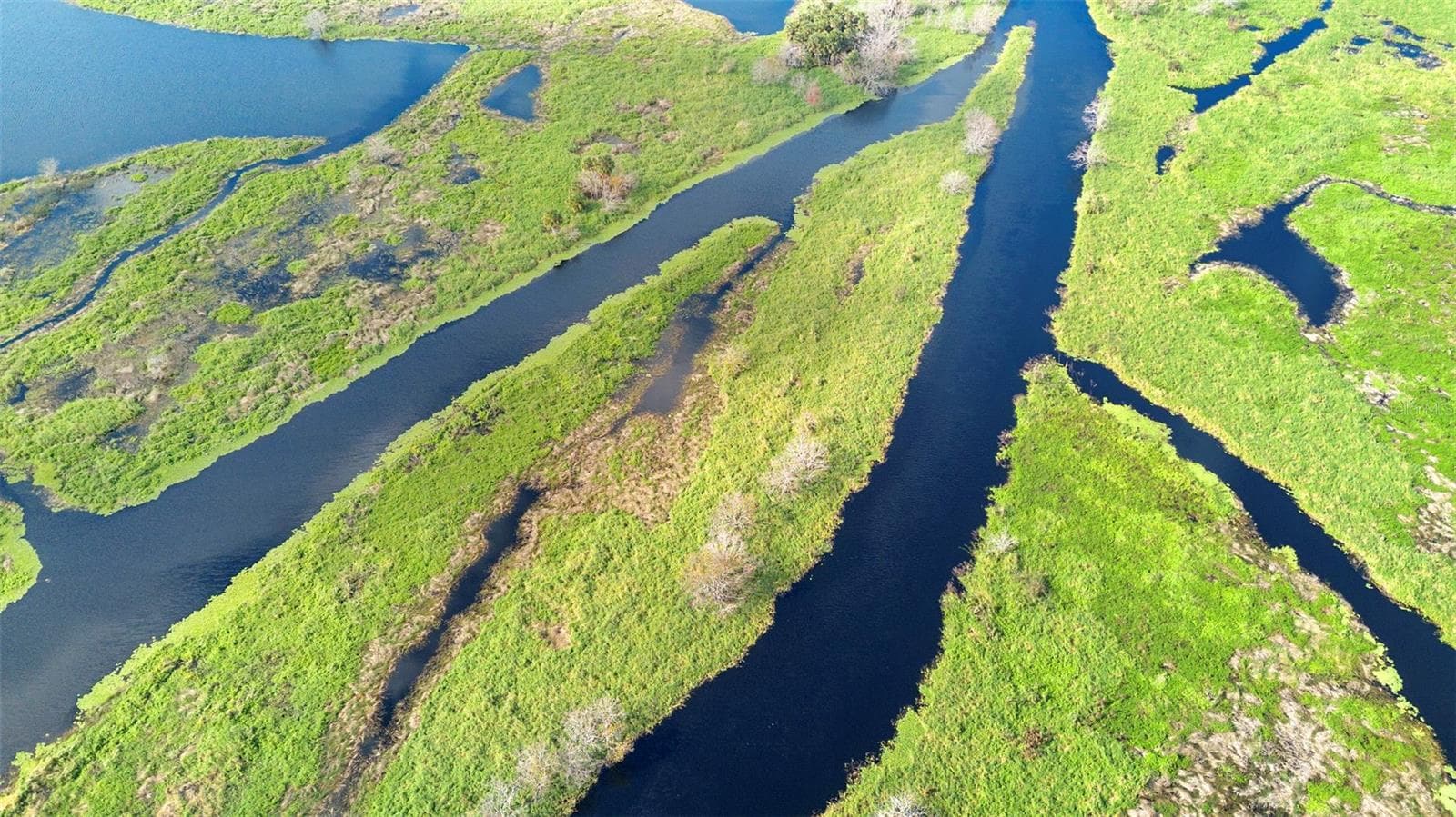 Land at NO NAME, OSTEEN, photo 16 of 22