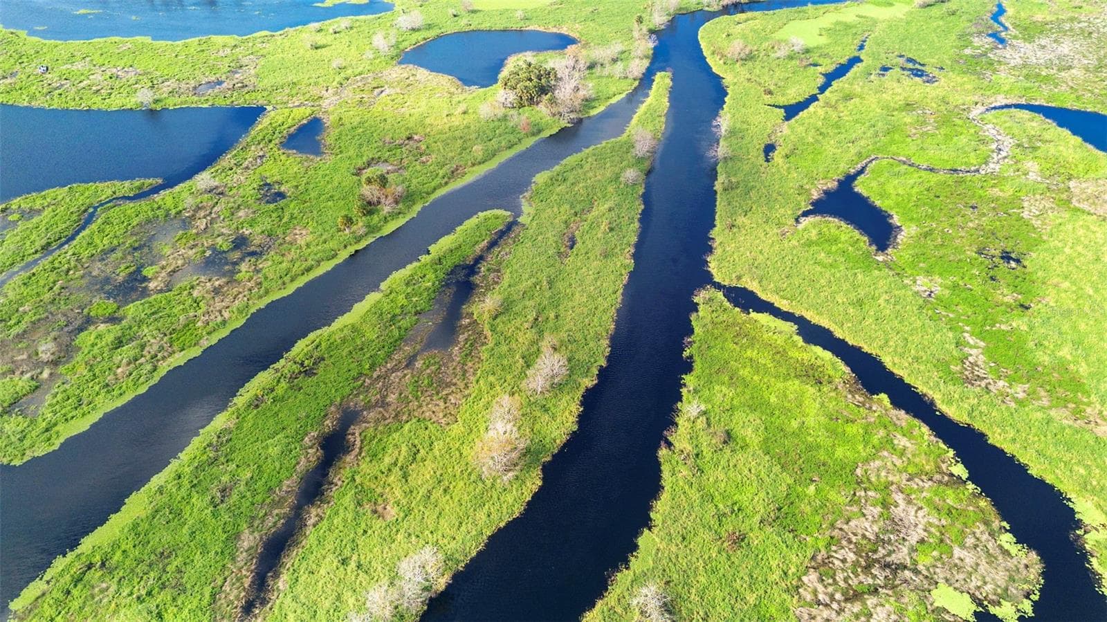 Land at NO NAME, OSTEEN, photo 17 of 22