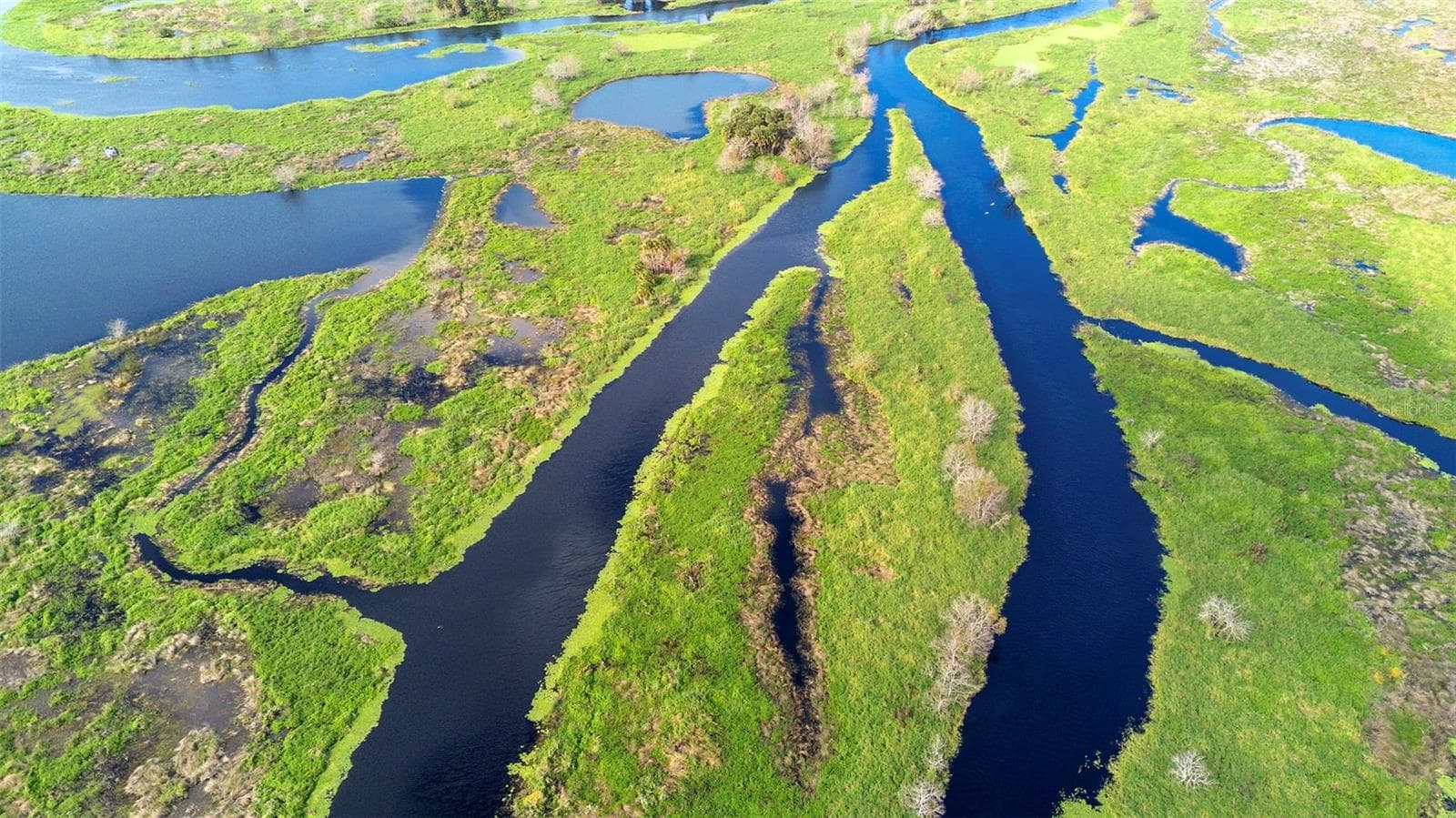 Land at NO NAME, OSTEEN, photo 18 of 22