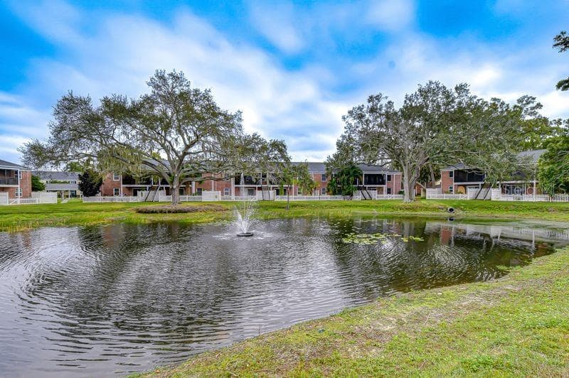 Relaxing Pond - 13693 ORANGE SUNSET DR #203, TAMPA