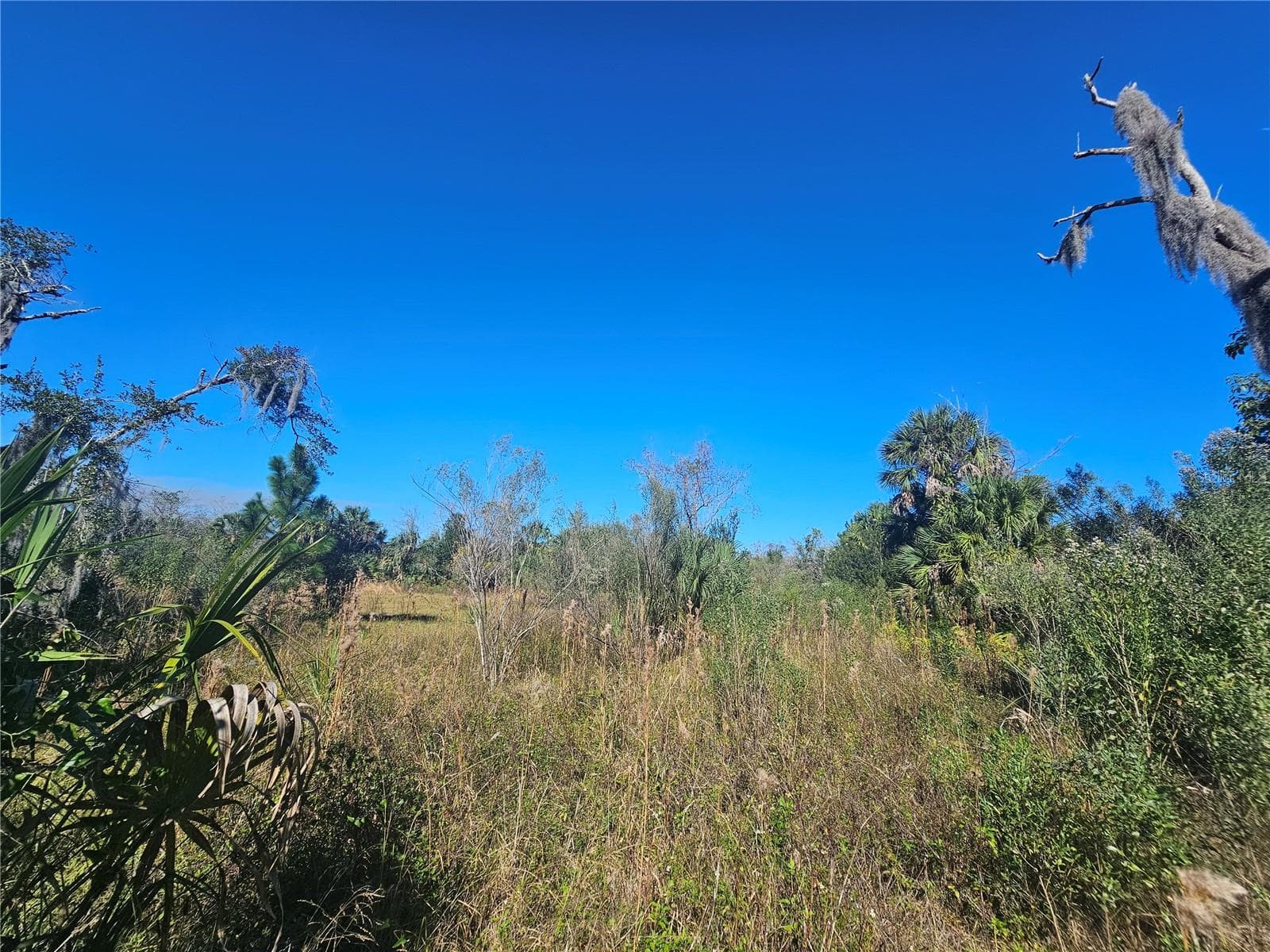 Land at 786 FORT FLORIDA RD, DEBARY, photo 2 of 8