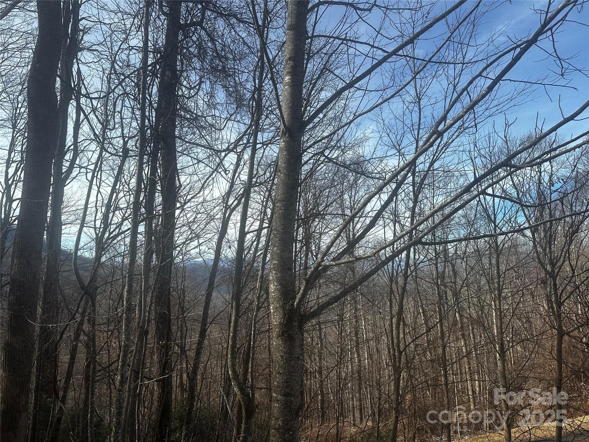 Acreage at Bakersville, photo 2 of 7