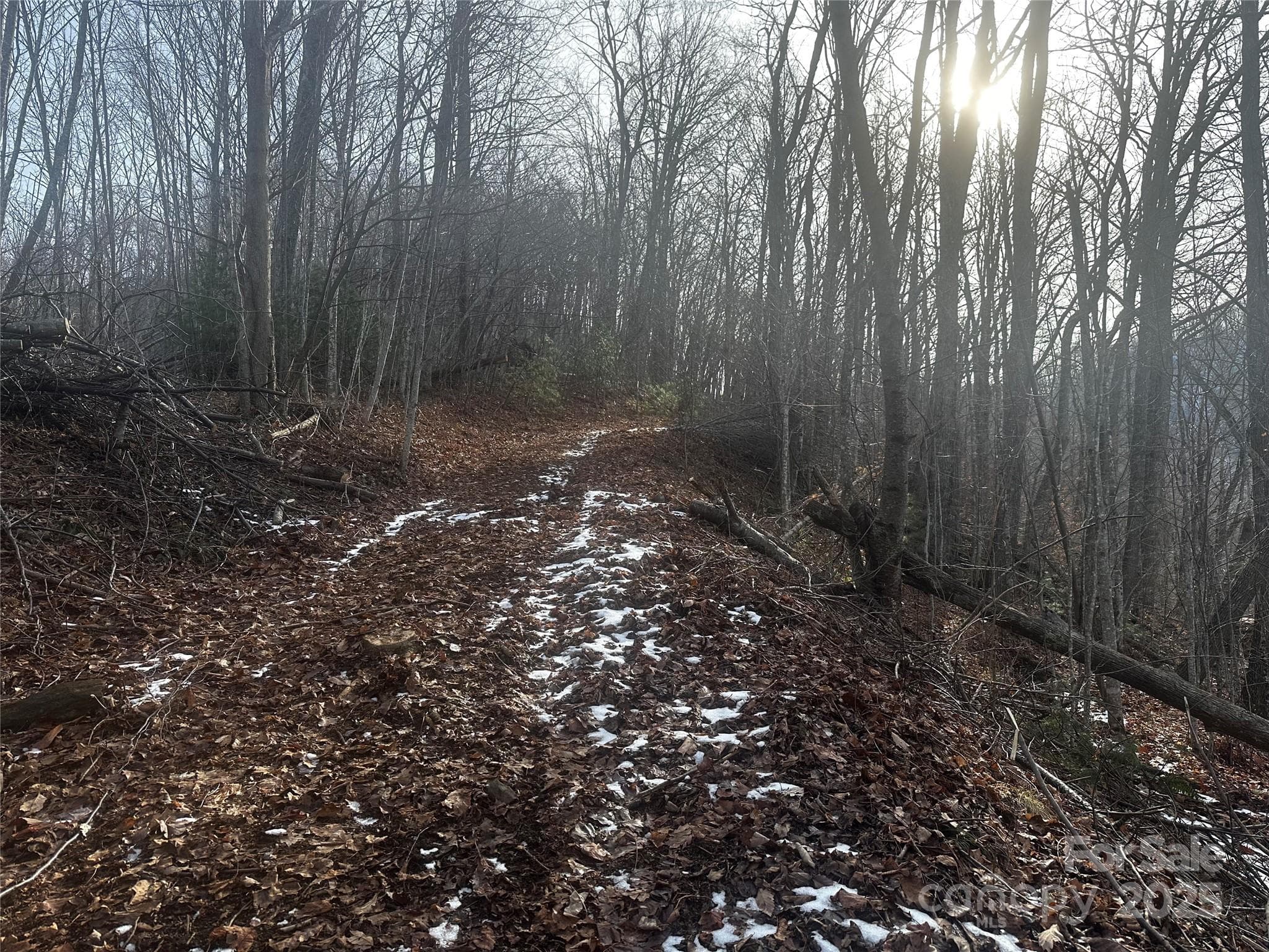 Acreage at Bakersville, photo 5 of 7