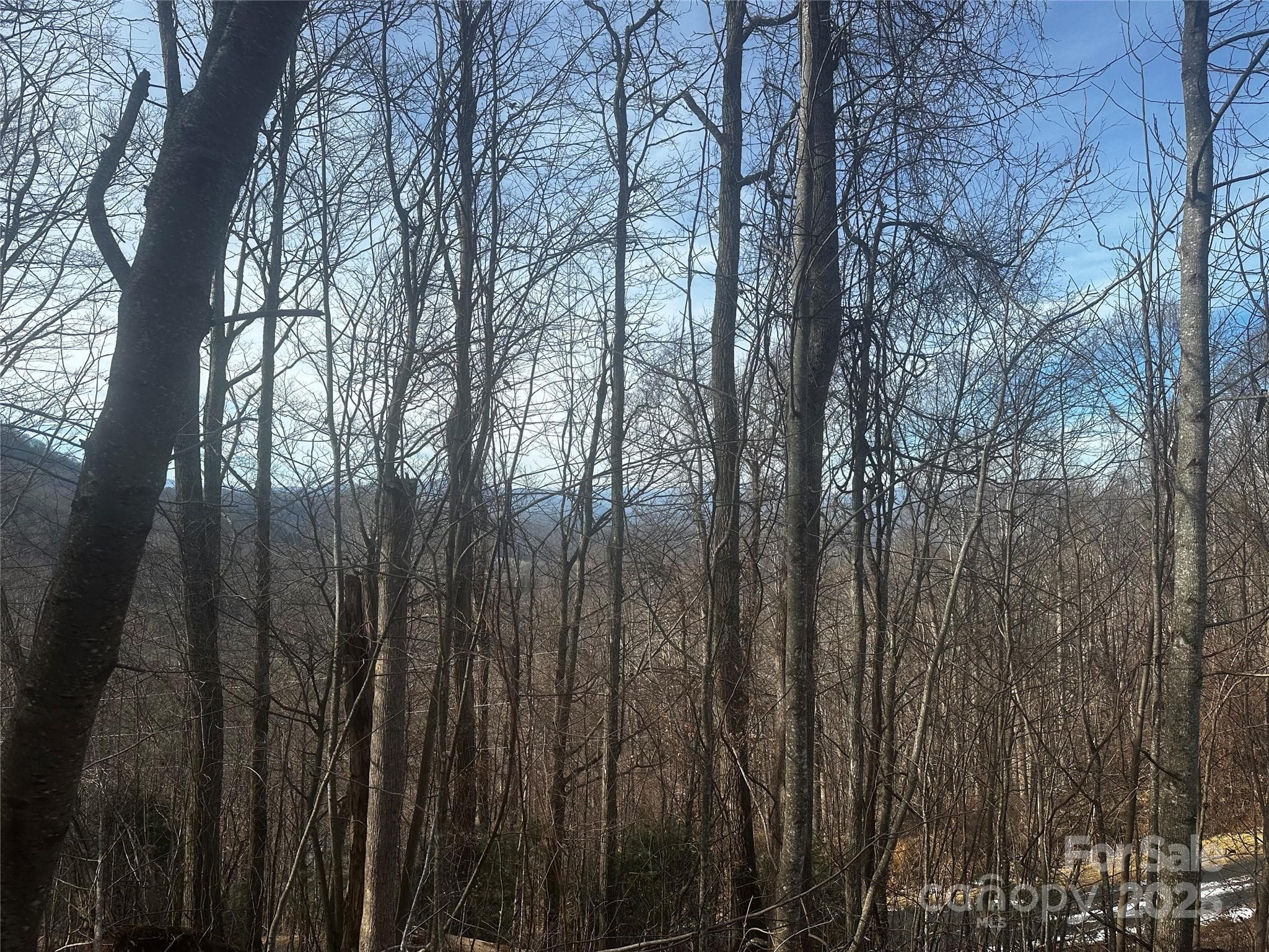 Acreage at Bakersville, photo 6 of 7