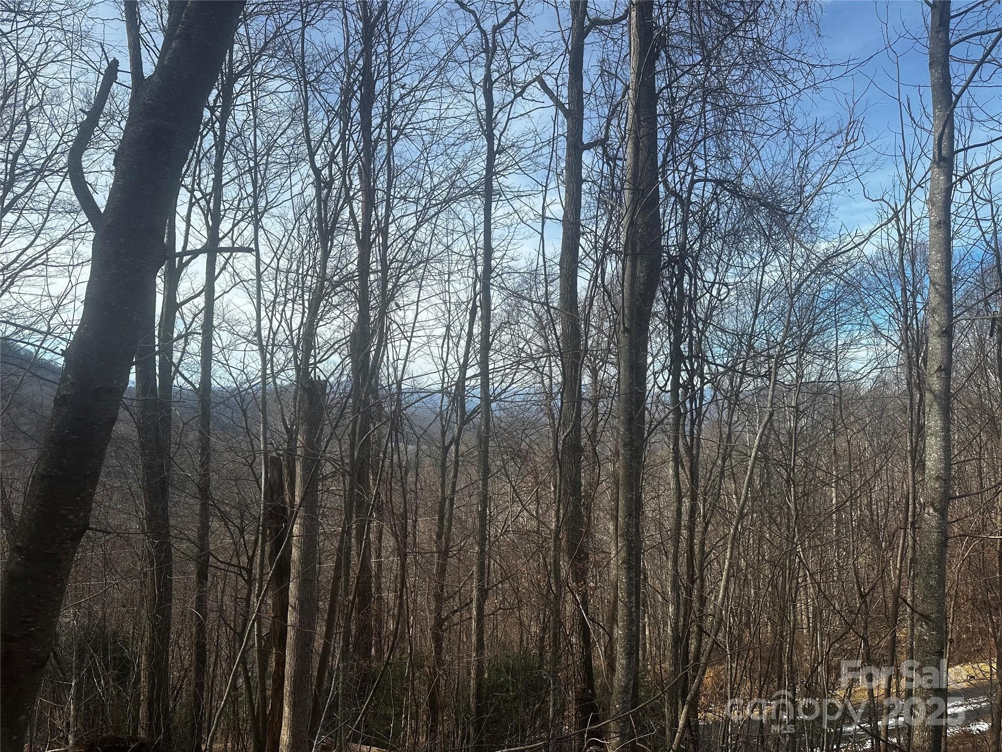Acreage at Bakersville, photo 7 of 7