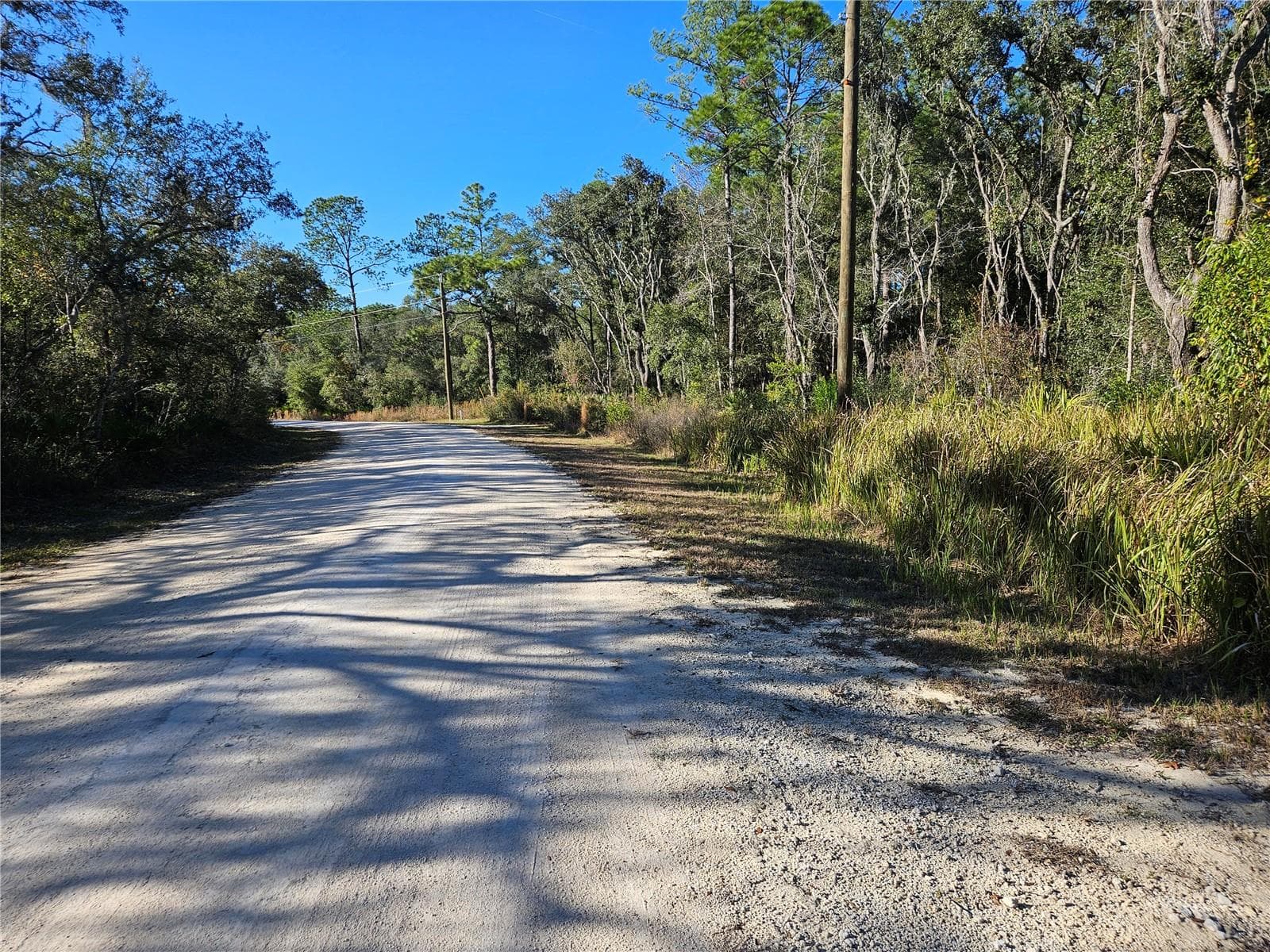 Land at BERRYHILL DR, WEBSTER, photo 2 of 16