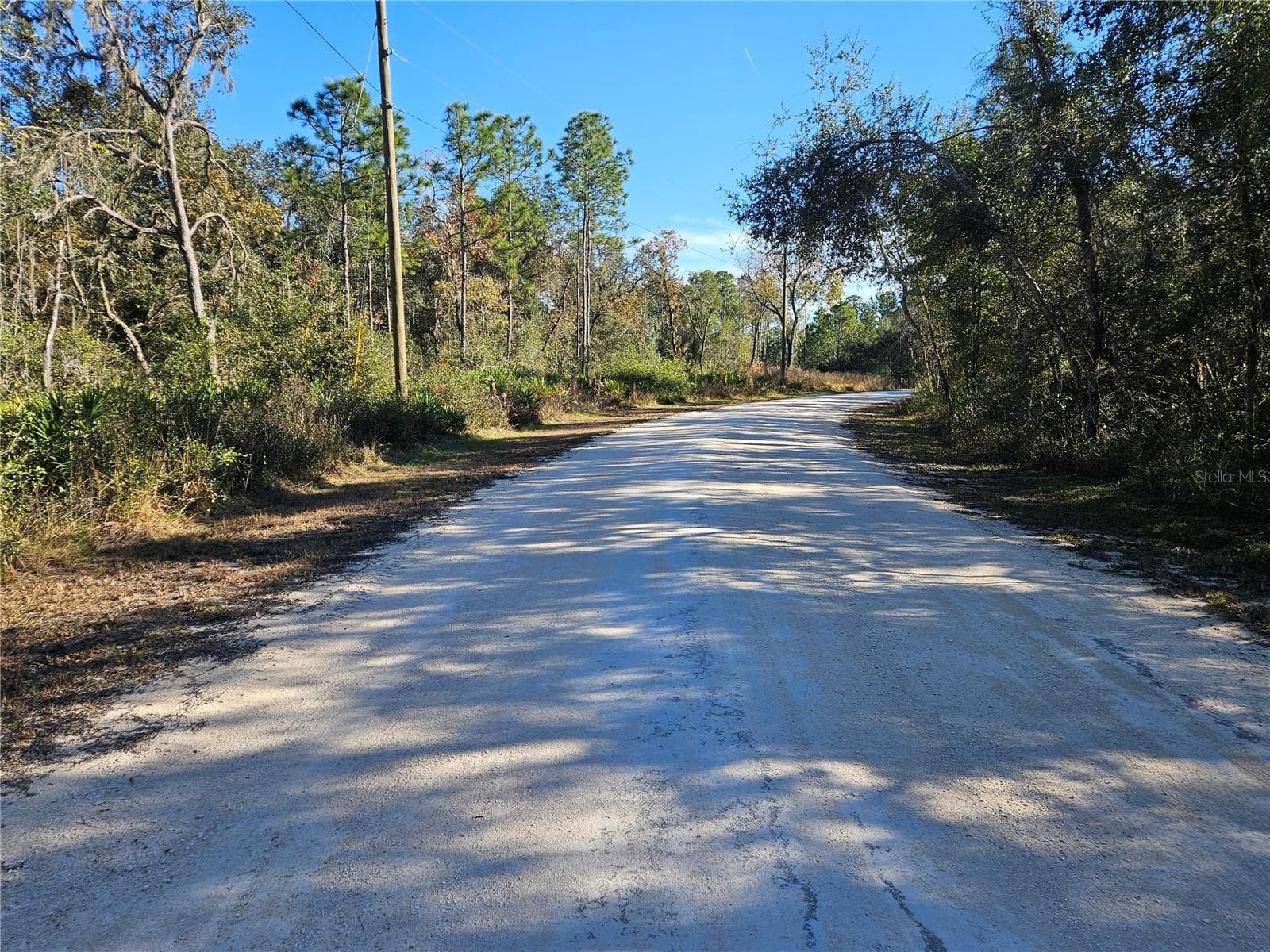 Land at BERRYHILL DR, WEBSTER, photo 3 of 16