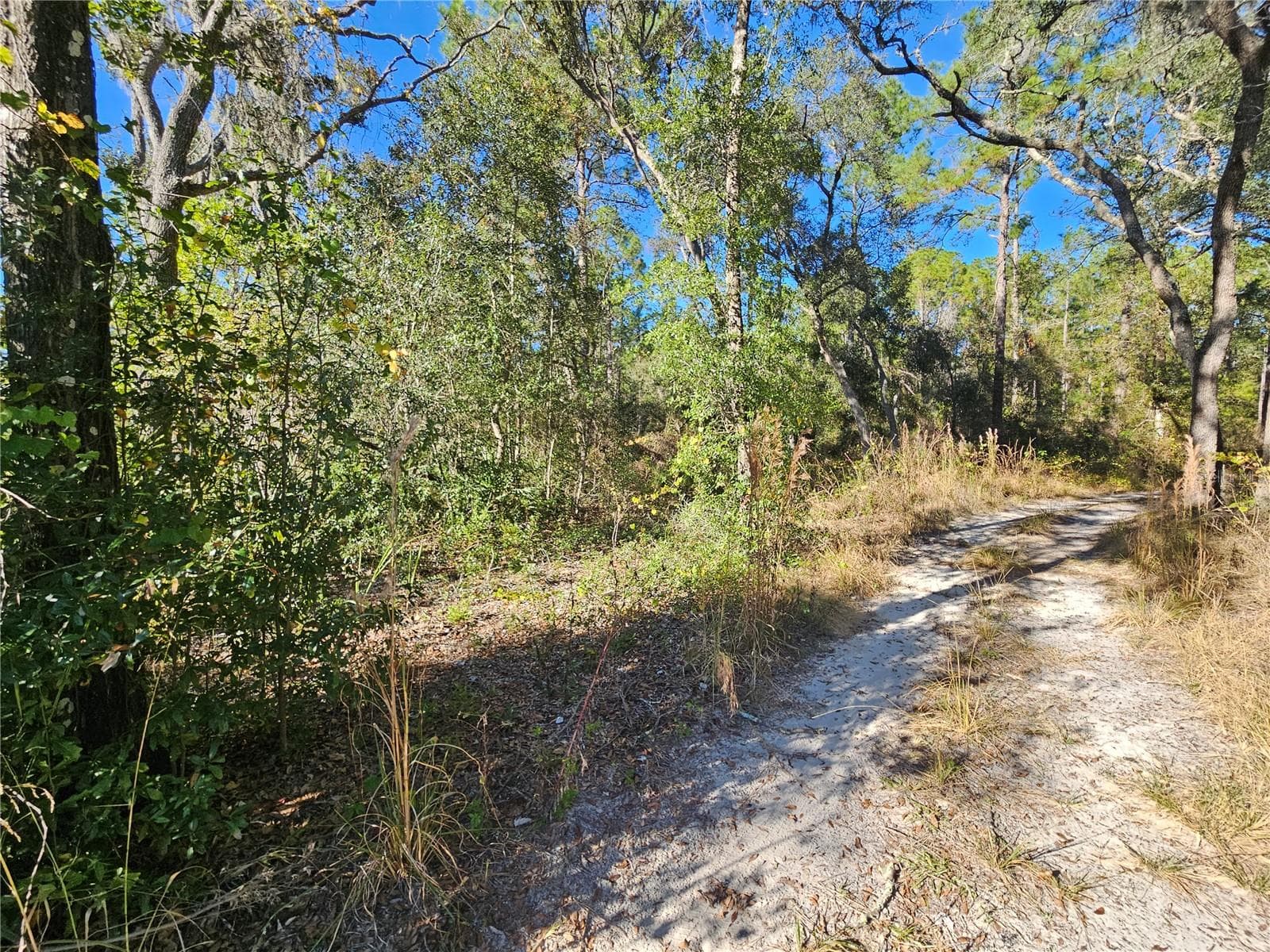Land at BERRYHILL DR, WEBSTER, photo 4 of 16