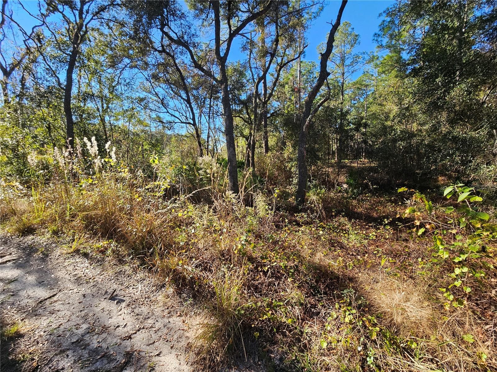 Land at BERRYHILL DR, WEBSTER, photo 5 of 16