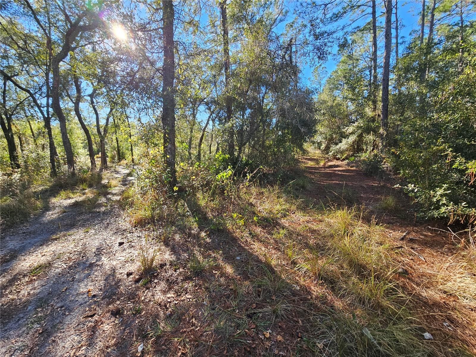 Land at BERRYHILL DR, WEBSTER, photo 6 of 16