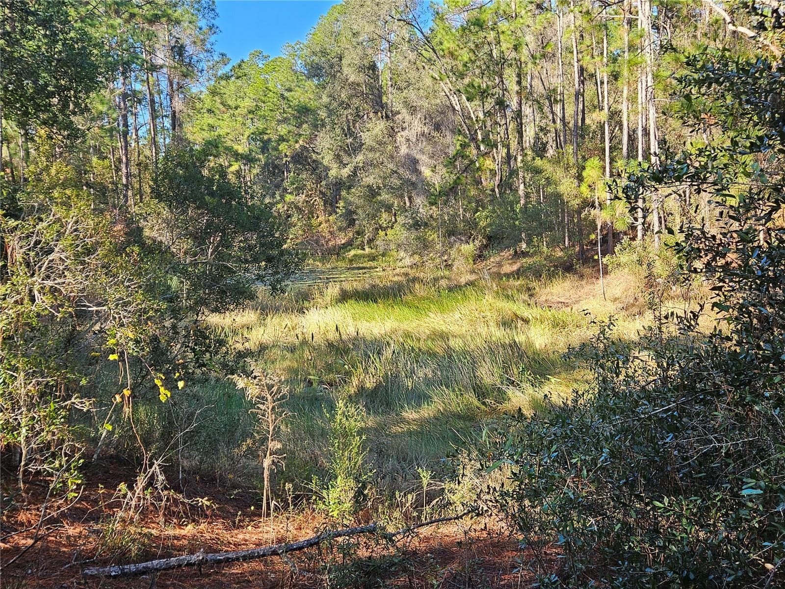 Land at BERRYHILL DR, WEBSTER, photo 7 of 16