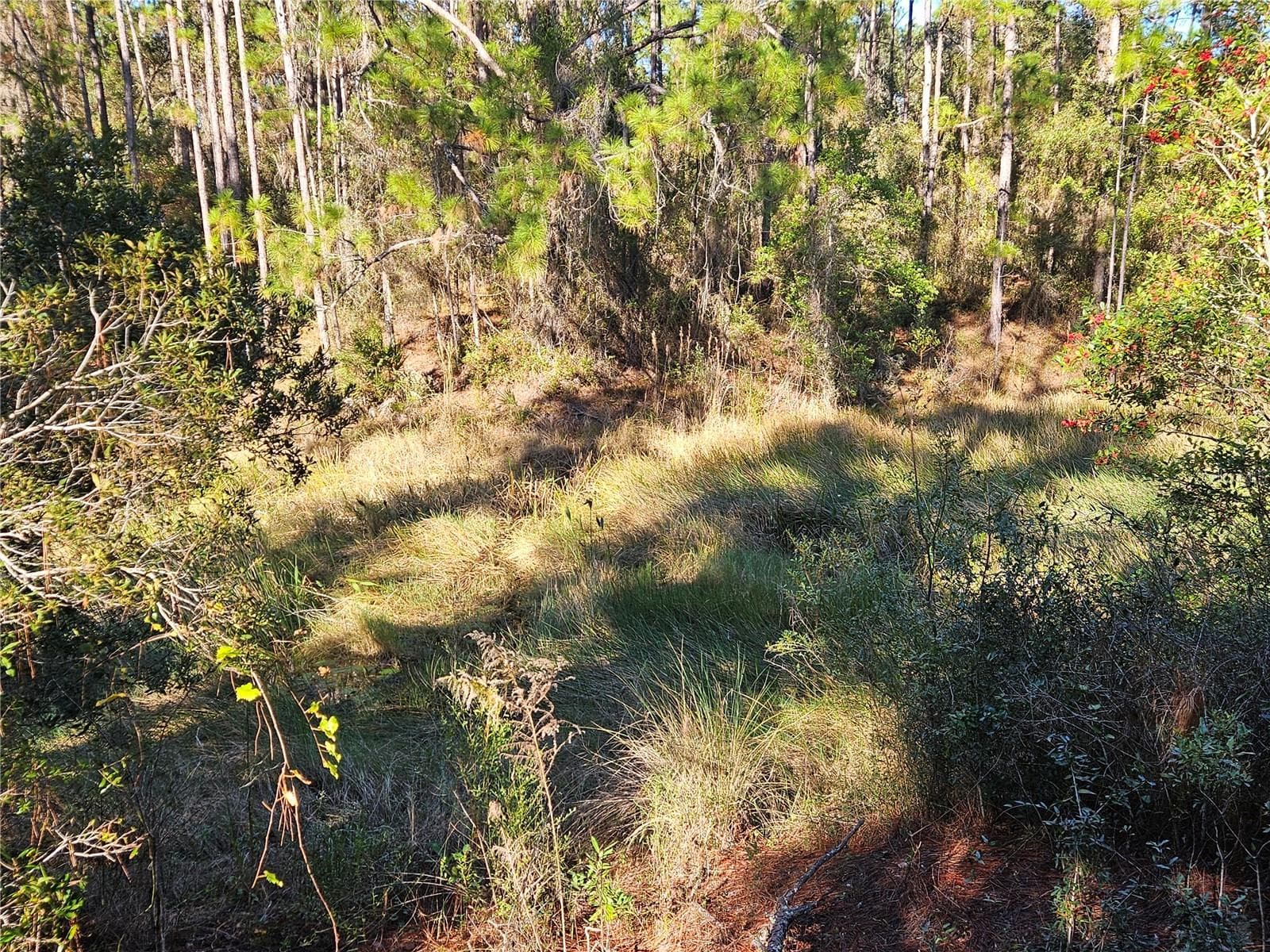 Land at BERRYHILL DR, WEBSTER, photo 8 of 16