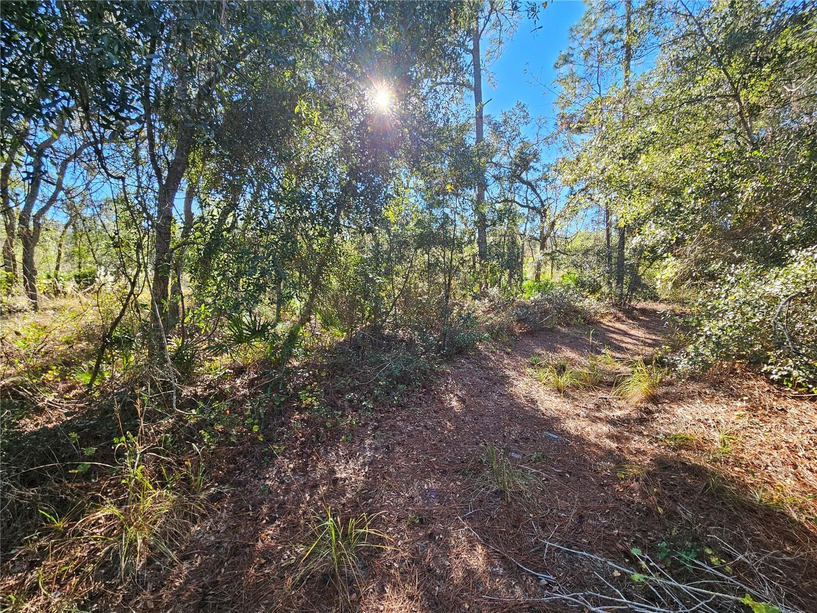 Land at BERRYHILL DR, WEBSTER, photo 9 of 16