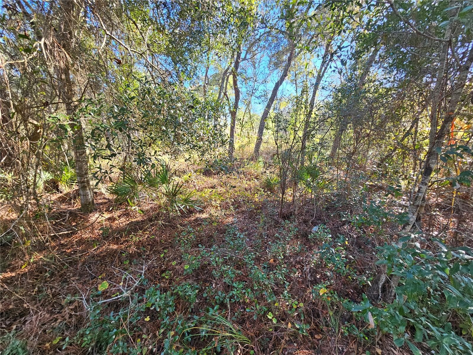 Land at BERRYHILL DR, WEBSTER, photo 10 of 16