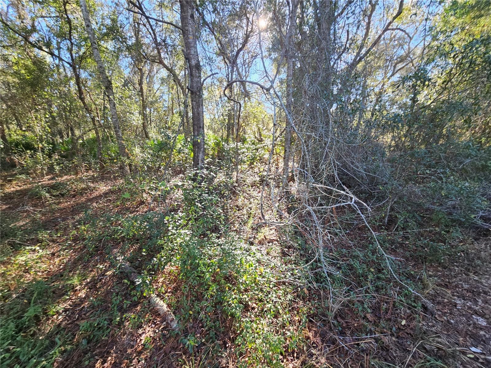 Land at BERRYHILL DR, WEBSTER, photo 11 of 16
