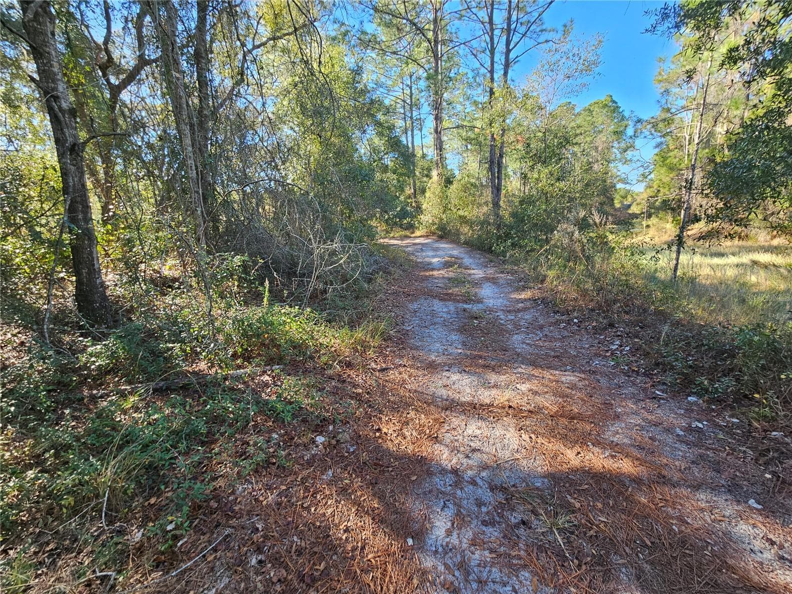 Land at BERRYHILL DR, WEBSTER, photo 12 of 16