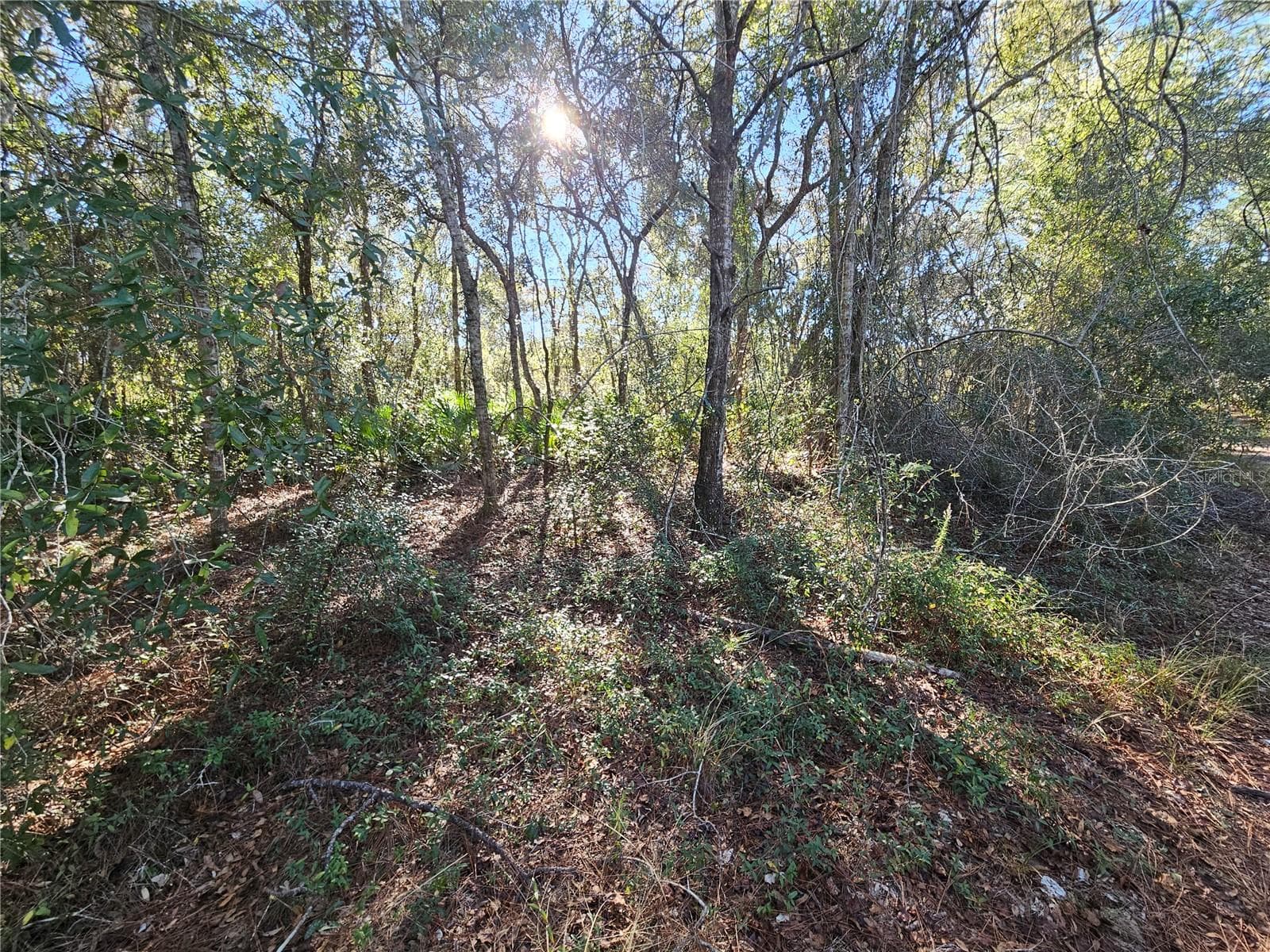 Land at BERRYHILL DR, WEBSTER, photo 13 of 16