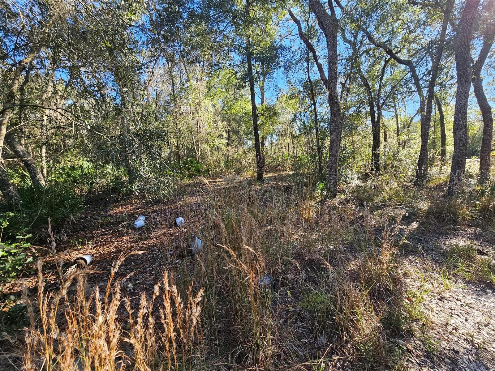 Land at BERRYHILL DR, WEBSTER, photo 14 of 16