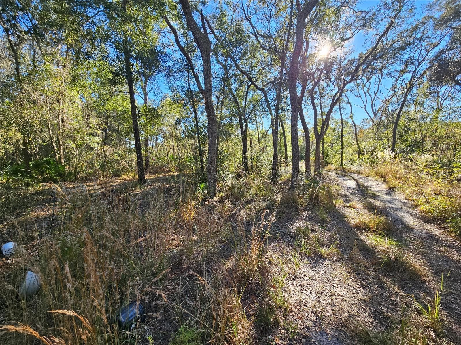 Land at BERRYHILL DR, WEBSTER, photo 15 of 16