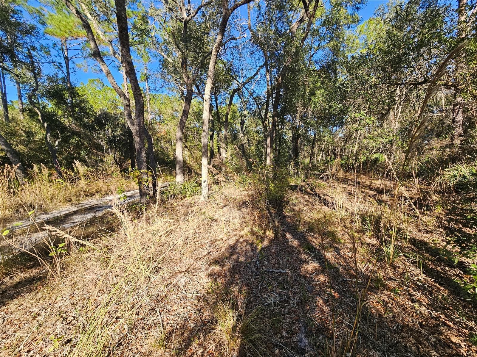 Land at BERRYHILL DR, WEBSTER, photo 16 of 16