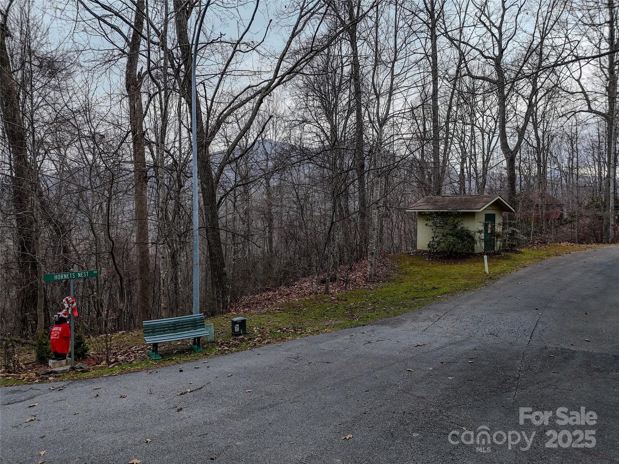 Lot at Maggie Valley, photo 9 of 14