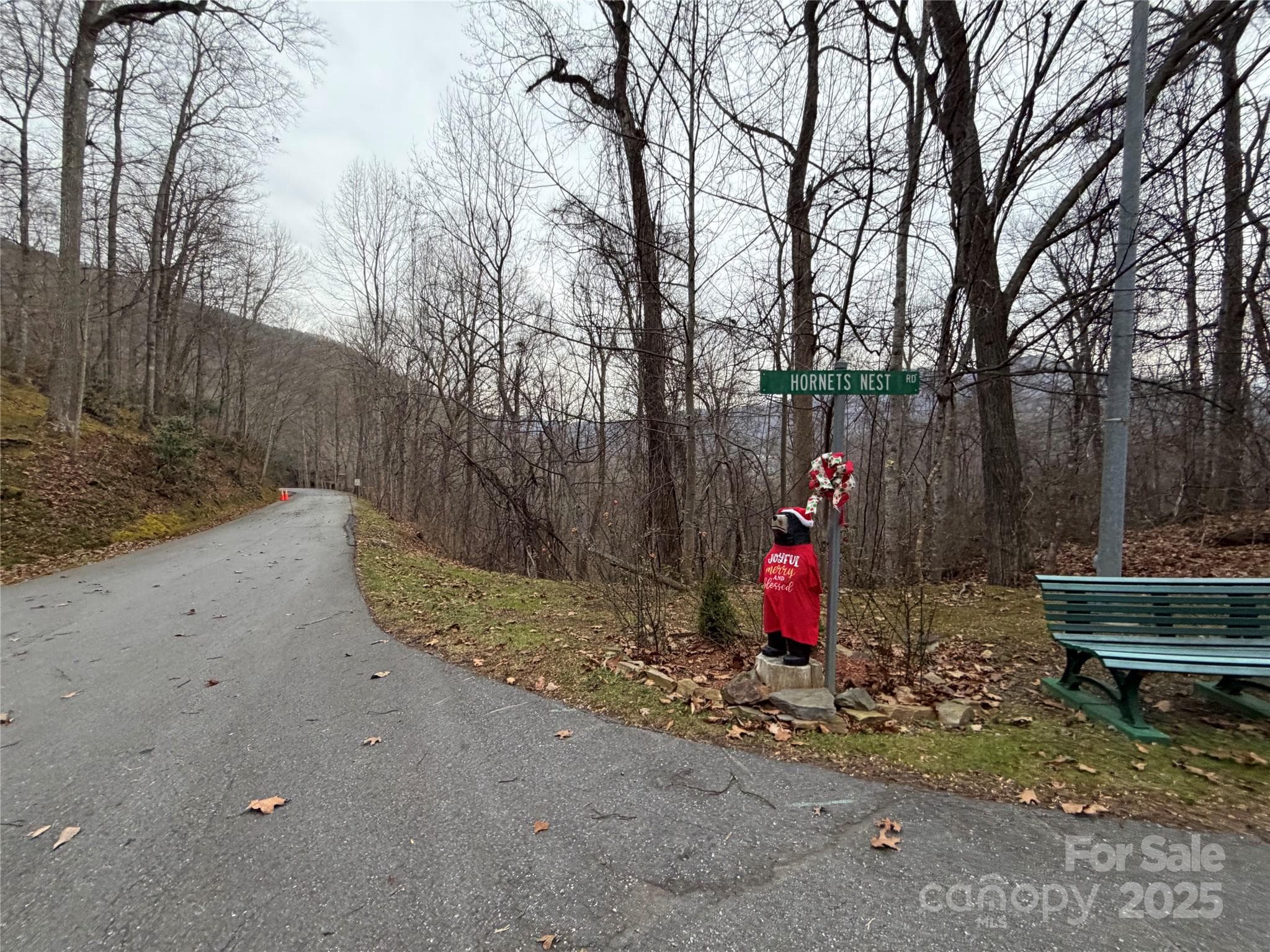 Lot at Maggie Valley, photo 11 of 14
