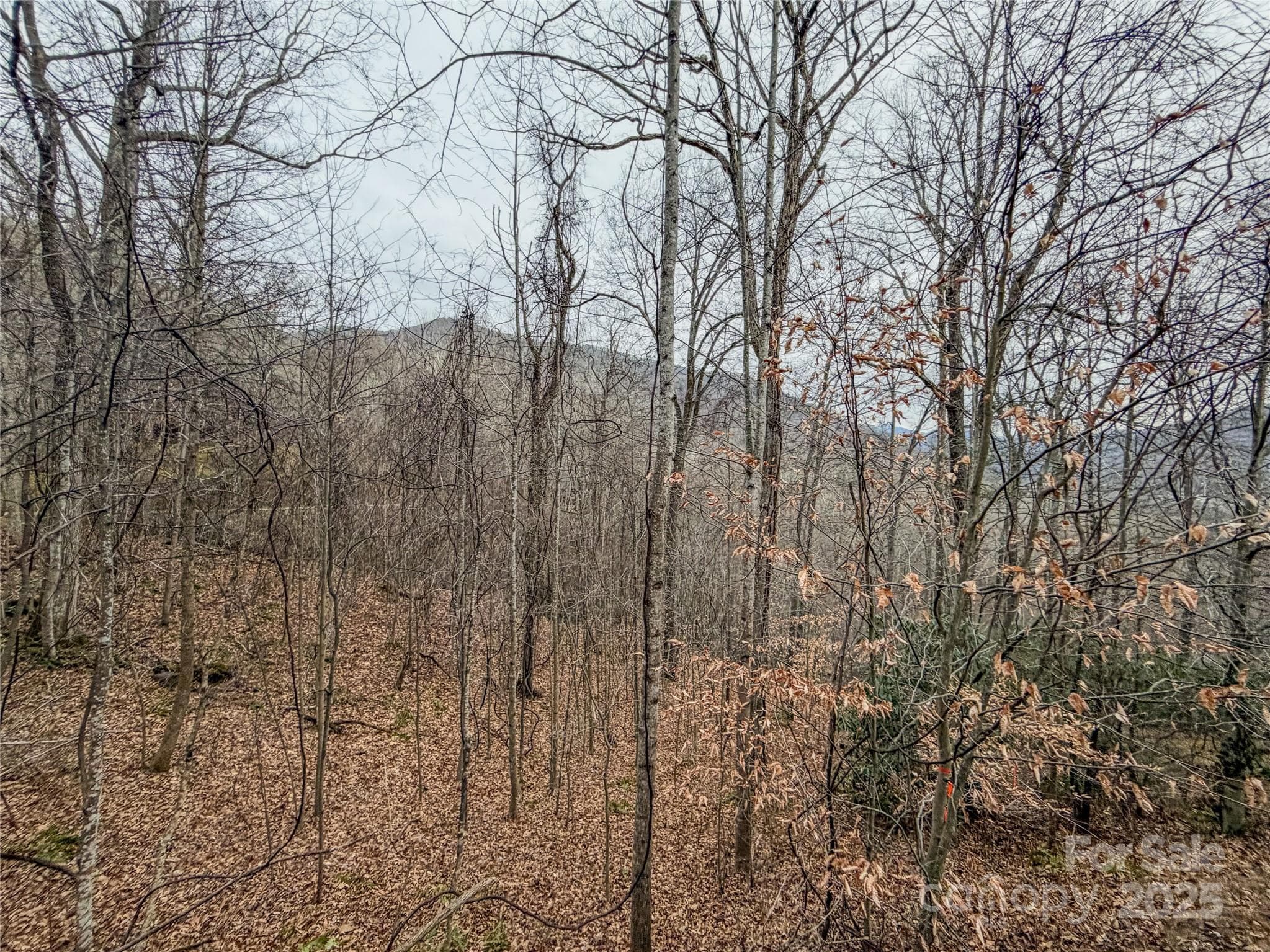 Lot at Maggie Valley, photo 12 of 14