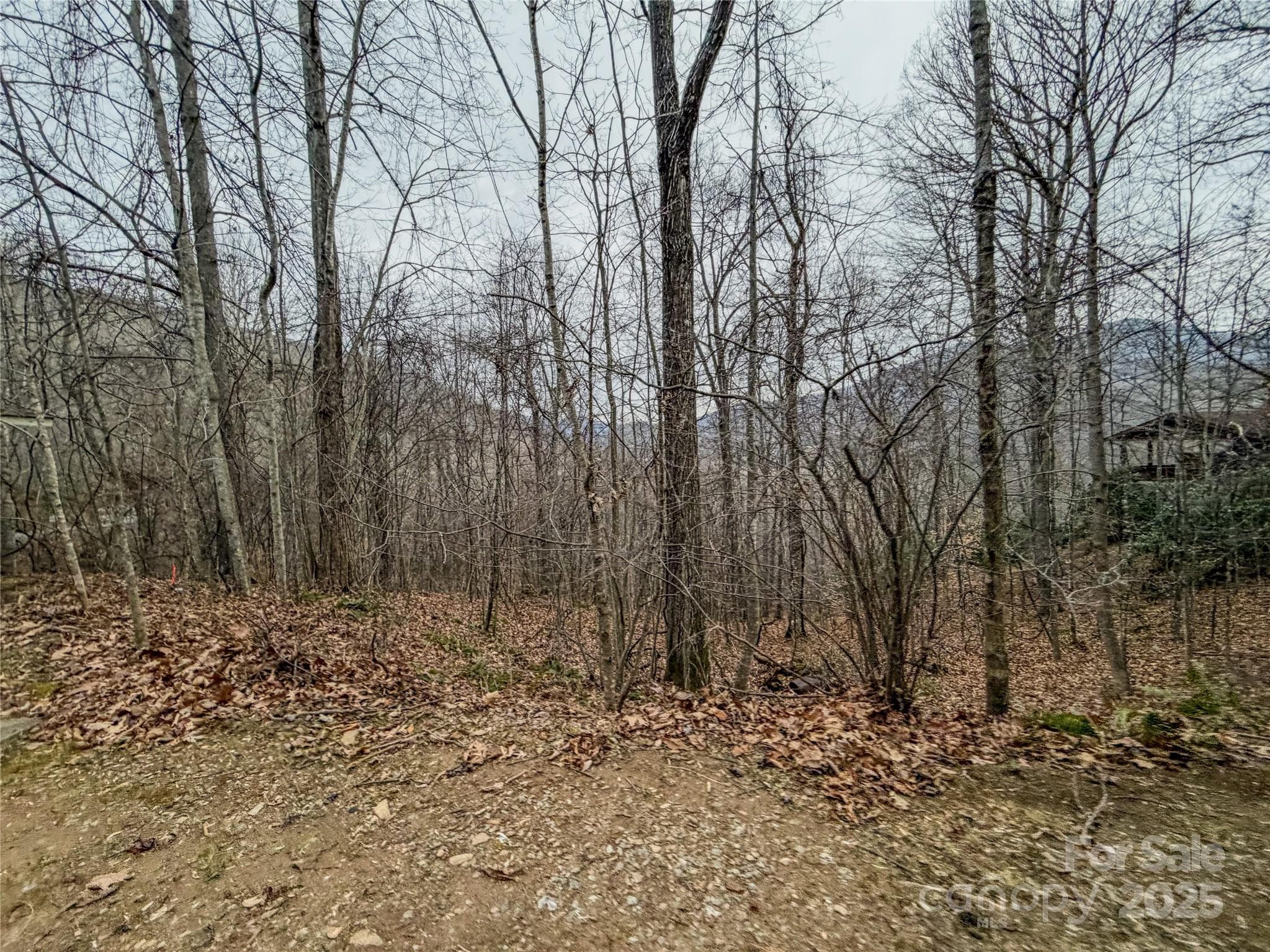 Lot at Maggie Valley, photo 13 of 14