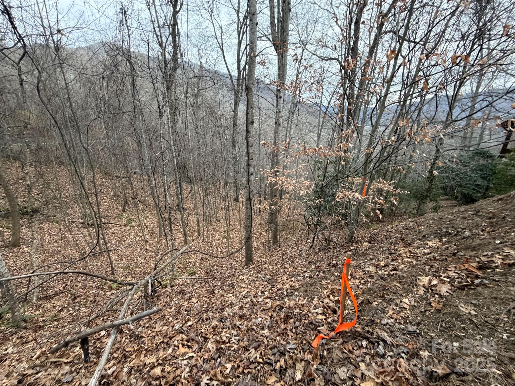 Lot at Maggie Valley, photo 14 of 14
