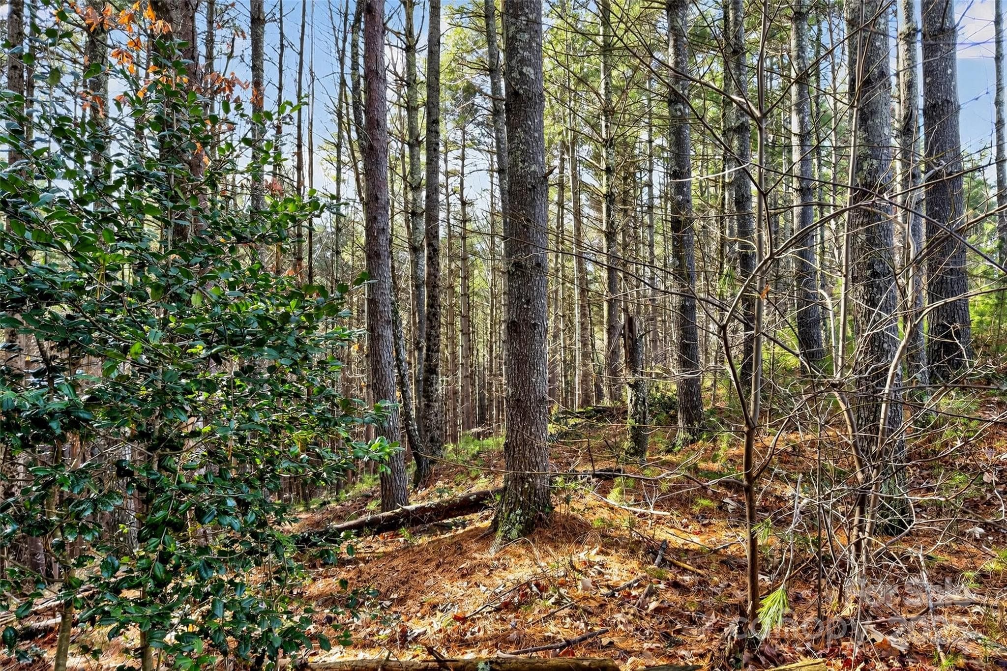 Lot at Nebo, photo 39 of 47