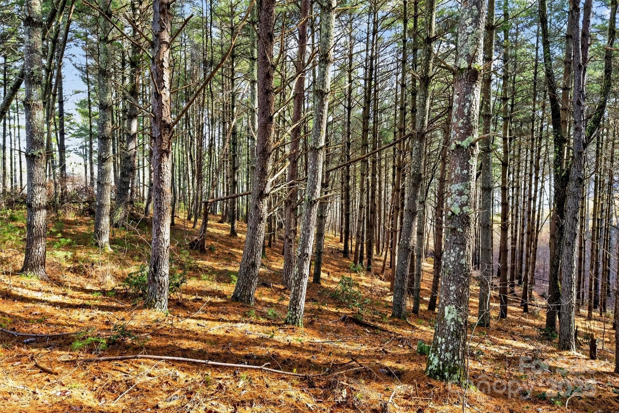 Lot at Nebo, photo 41 of 47