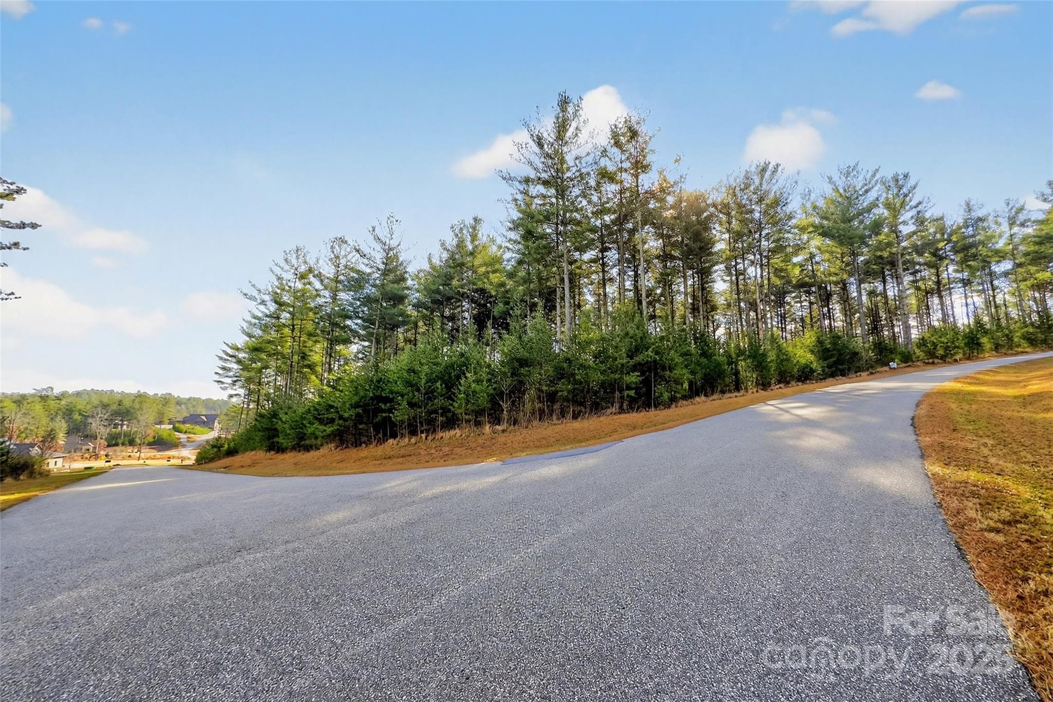 Lot at Nebo, photo 35 of 47
