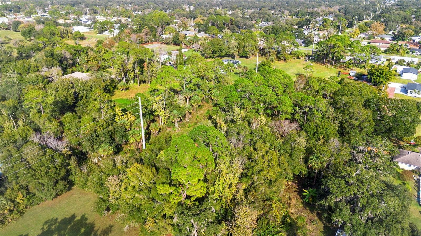 Land at PINEDALE RD, EDGEWATER, photo 8 of 16