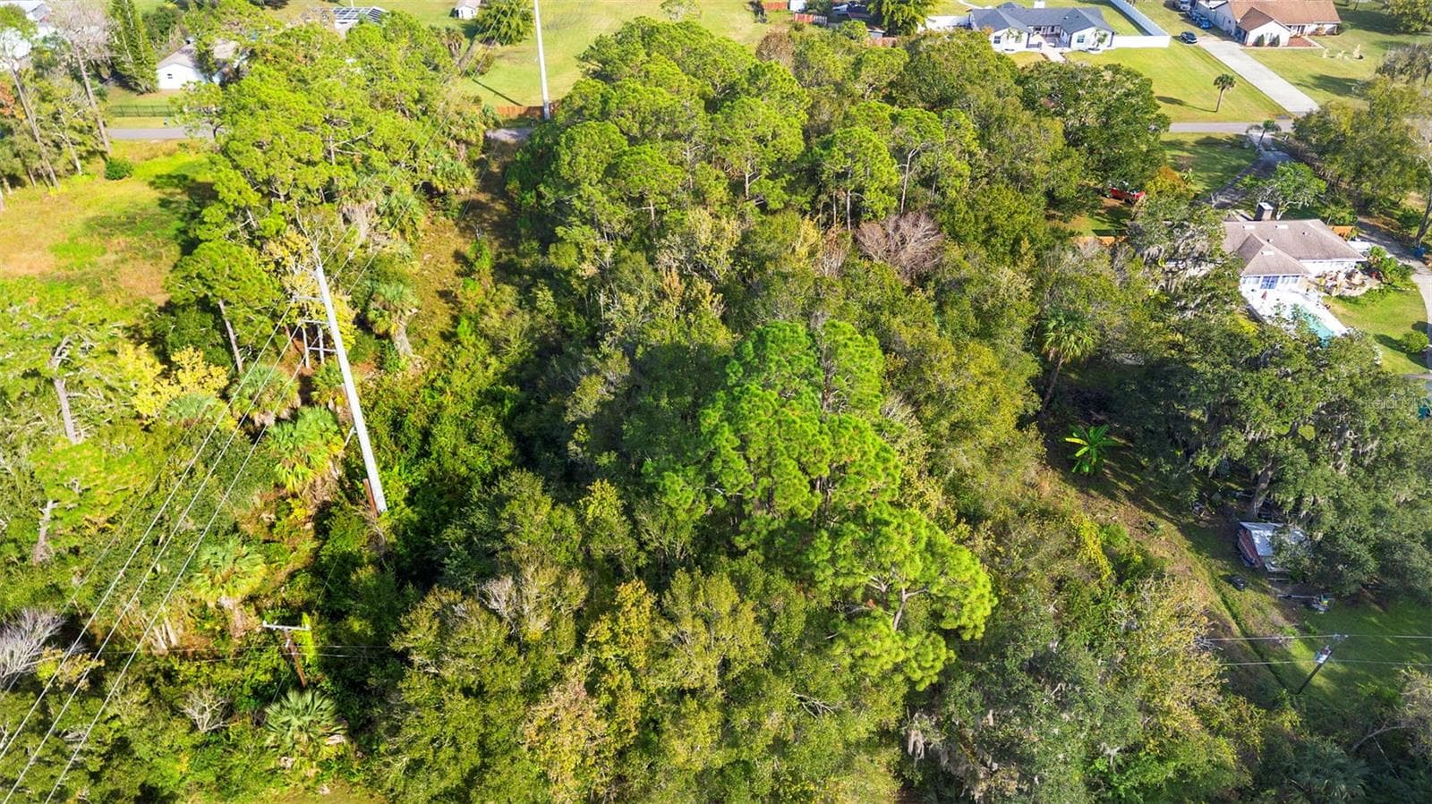 Land at PINEDALE RD, EDGEWATER, photo 9 of 16