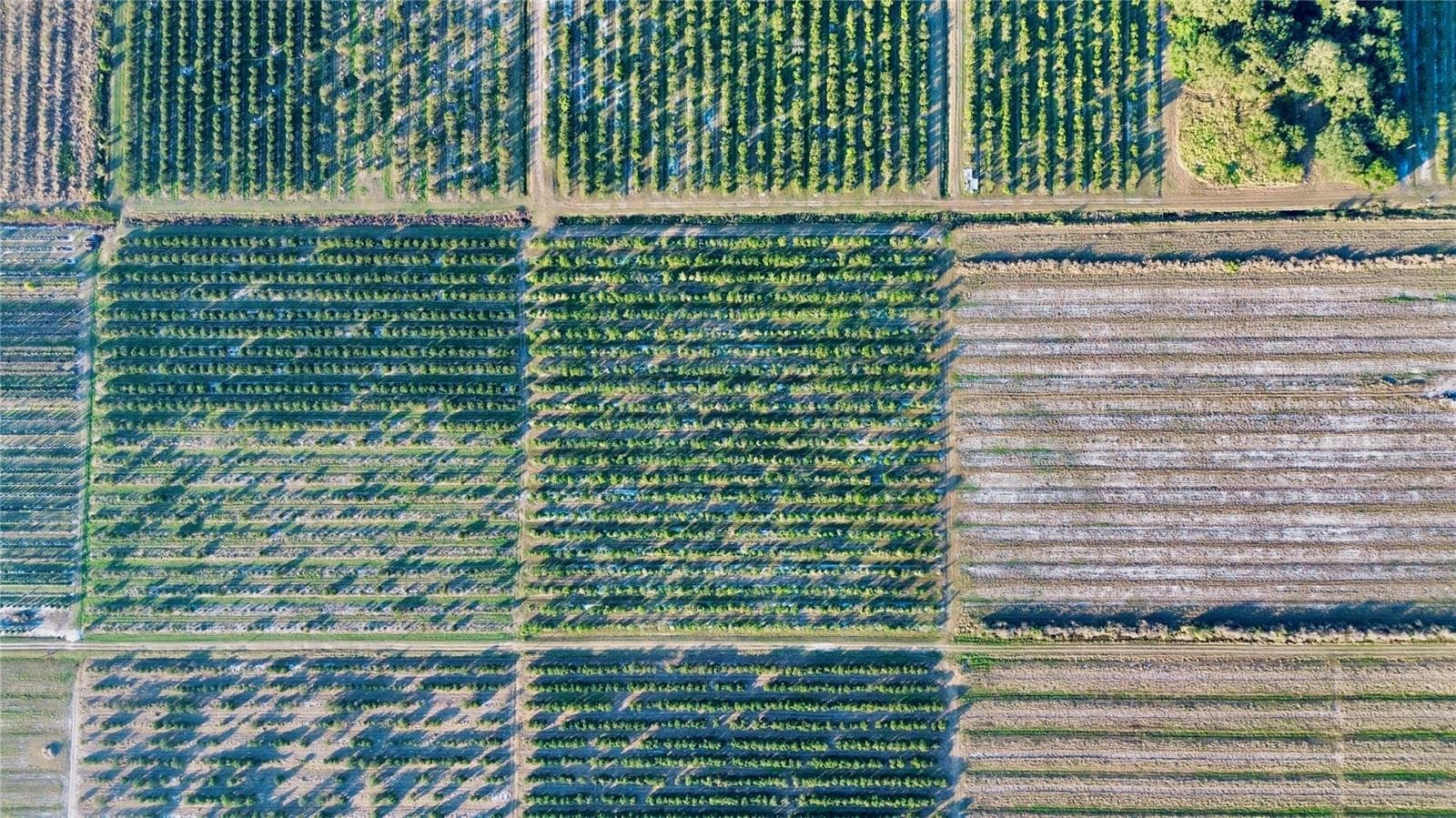 Land at 2205 HICKS RD, LORIDA, photo 7 of 9