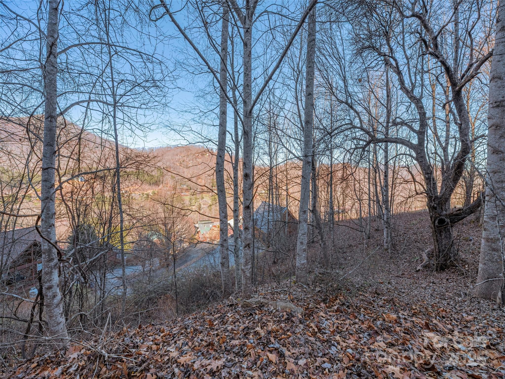 Lot at Maggie Valley, photo 4 of 13