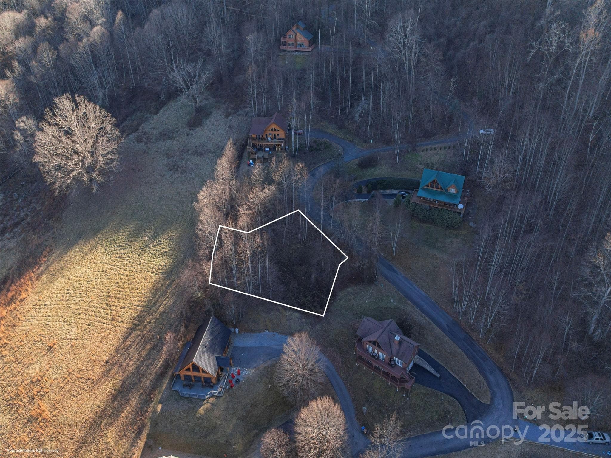 Lot at Maggie Valley, photo 7 of 13
