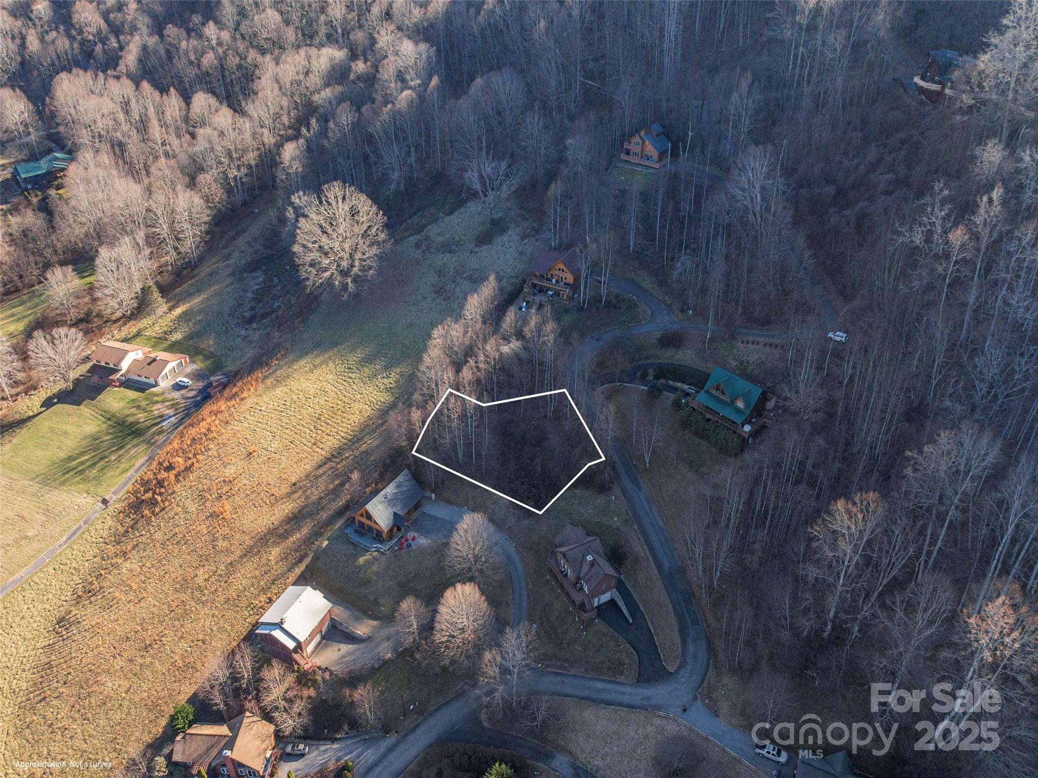 Lot at Maggie Valley, photo 8 of 13