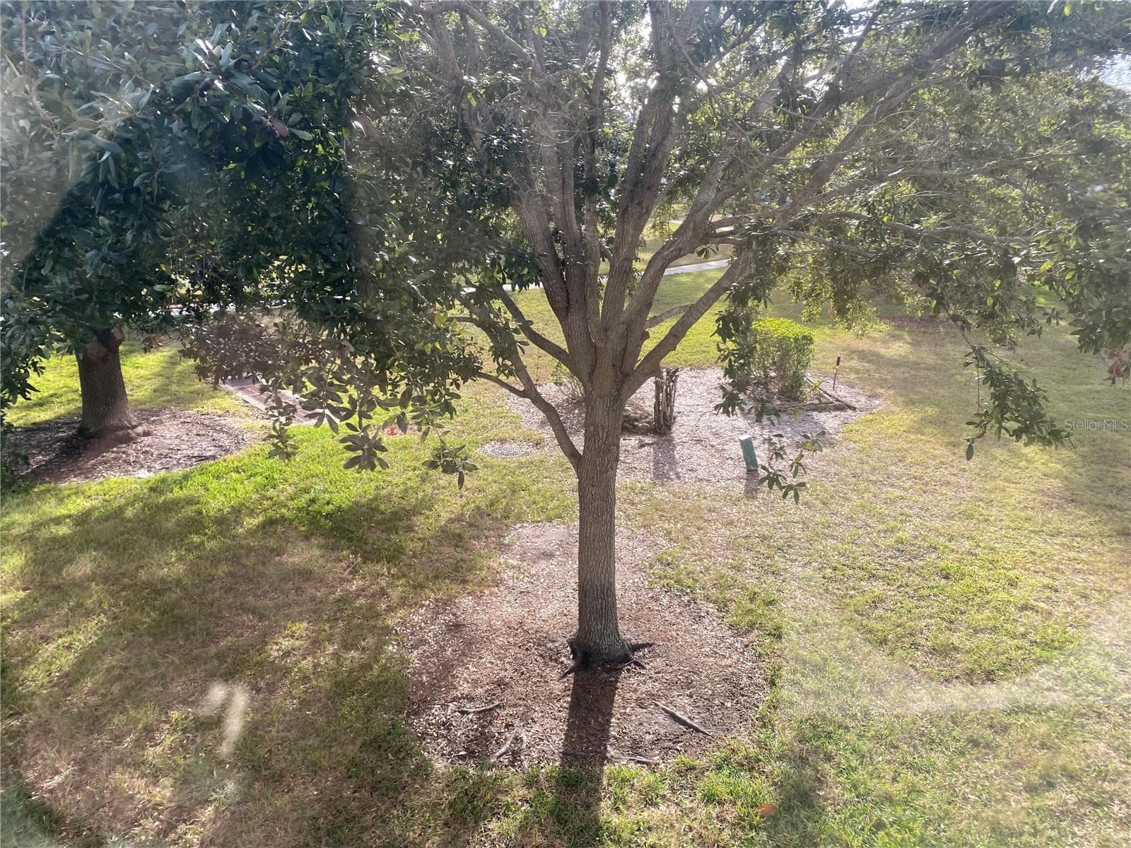 BACK VIEW FROM PORCH - 11224 82ND AVE #210, SEMINOLE