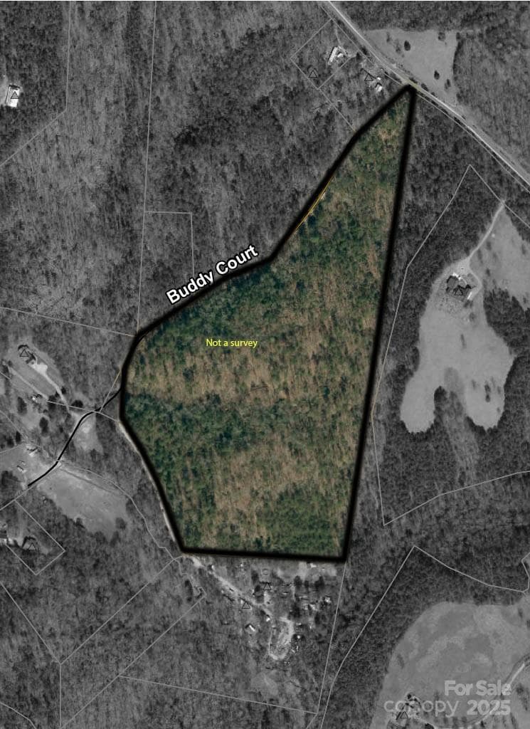 Acreage at Rutherfordton, photo 2 of 2