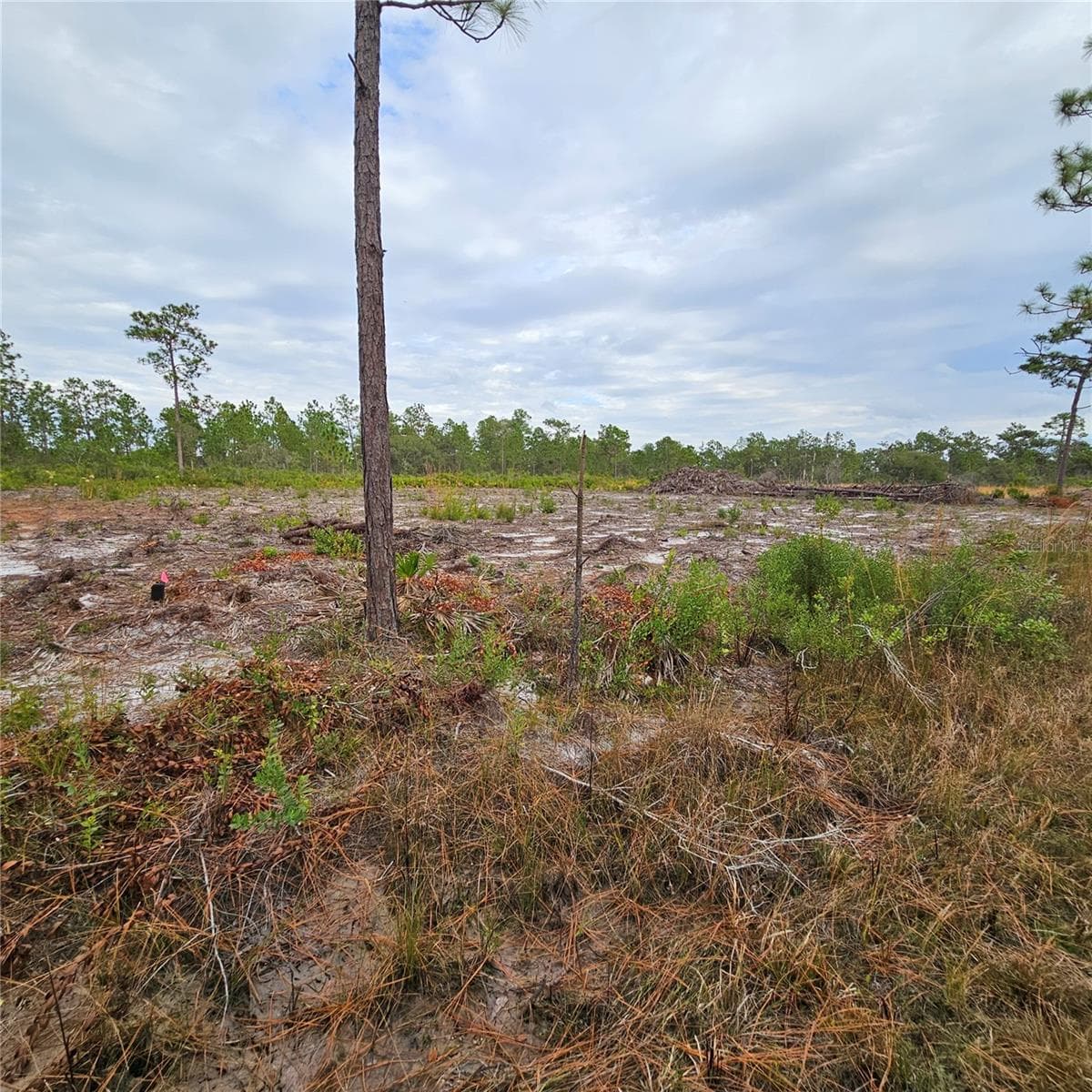 Land at 108 EL DORADO DR, INDIAN LAKE ESTATES, photo 2 of 32