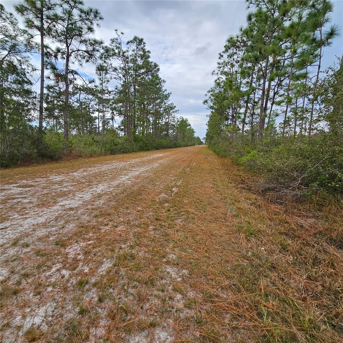 Land at 108 EL DORADO DR, INDIAN LAKE ESTATES, photo 5 of 32