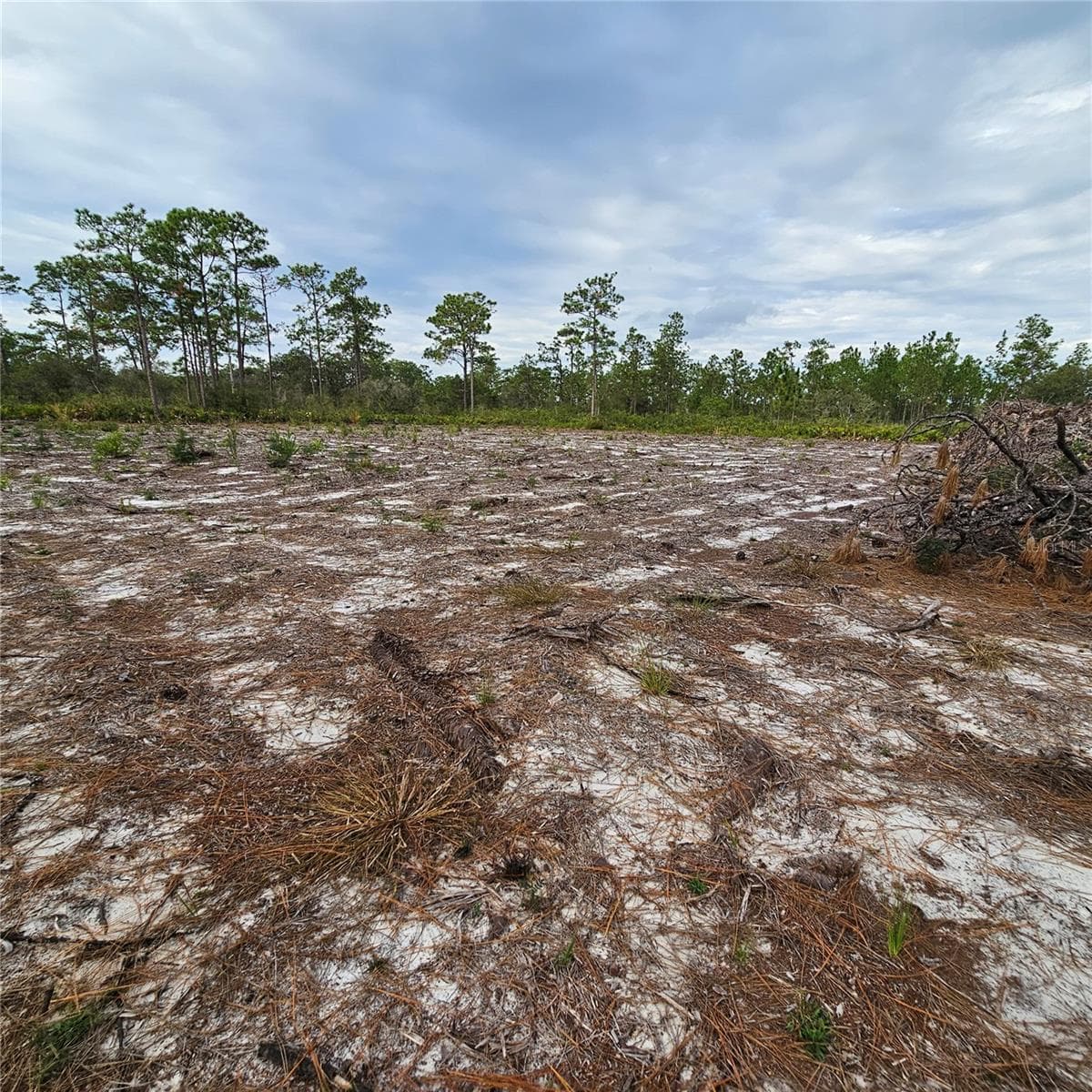 Land at 108 EL DORADO DR, INDIAN LAKE ESTATES, photo 9 of 32