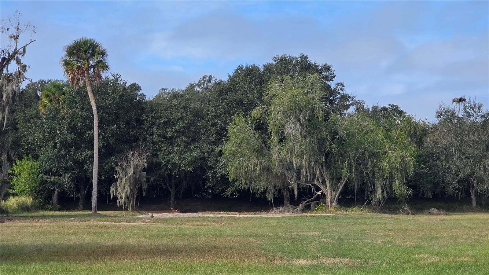 Back Yard of Lot - 15311 FISHHAWK HEIGHTS RUN, LITHIA