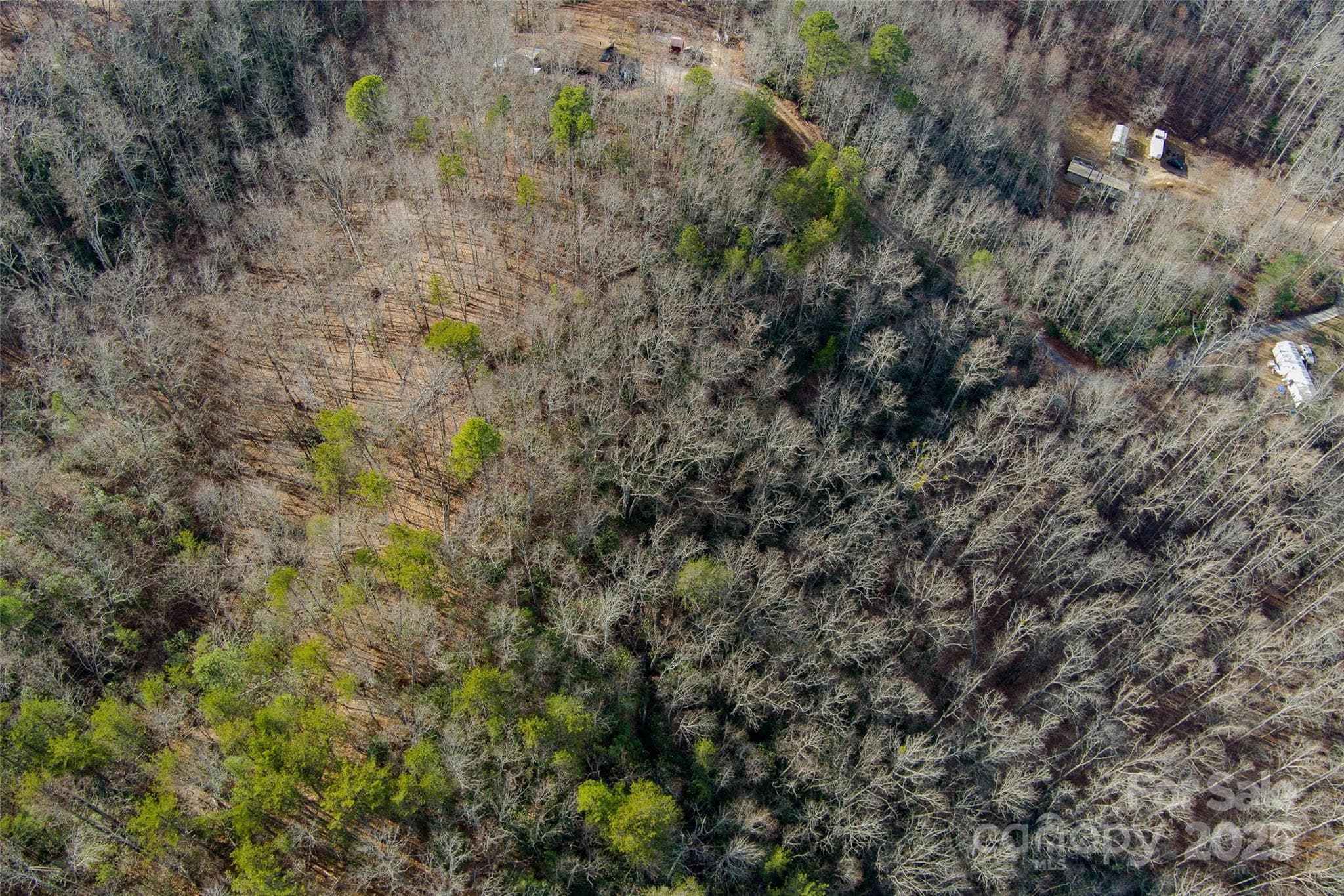 Lot at Old Fort, photo 13 of 23